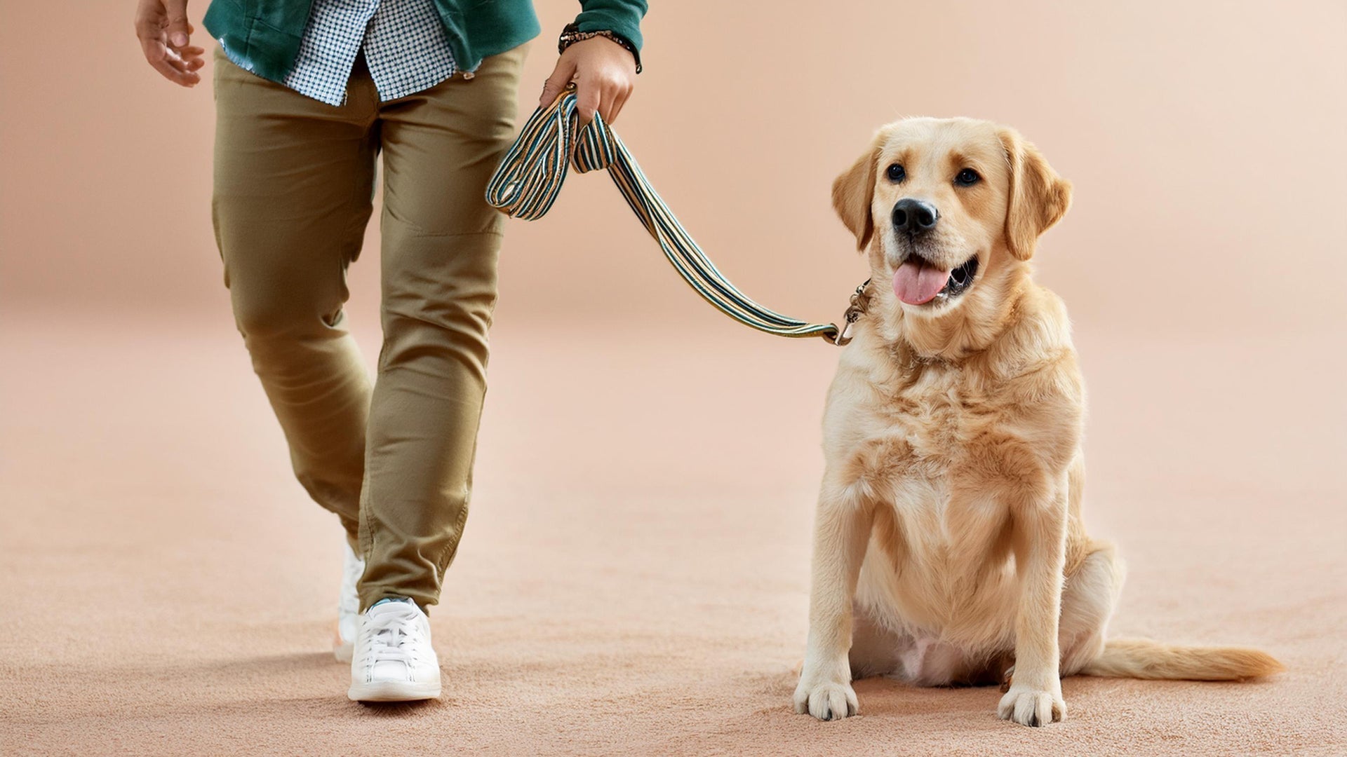 How Often Should You Take Your Dog Out?