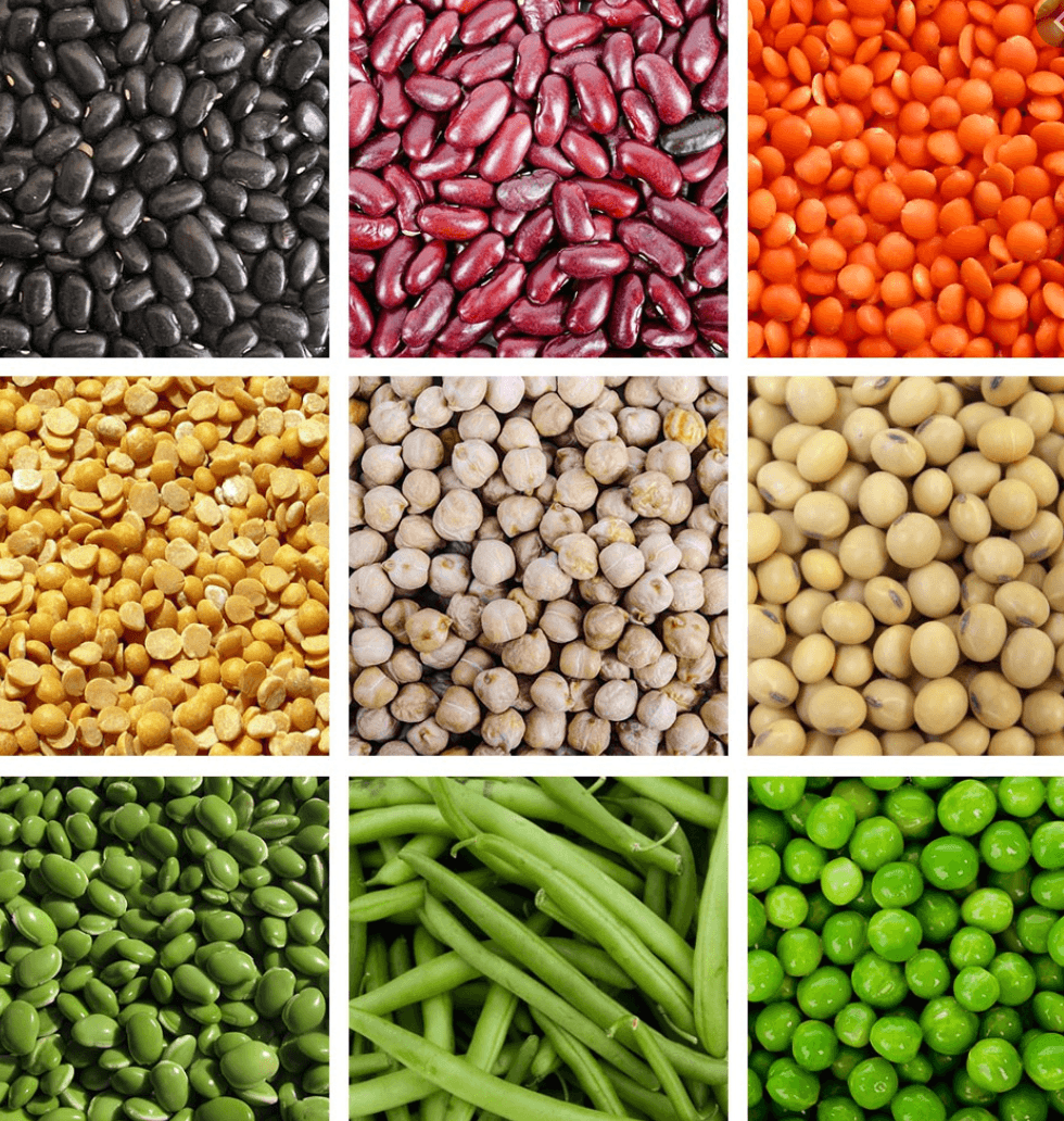 Dietary dcm deals