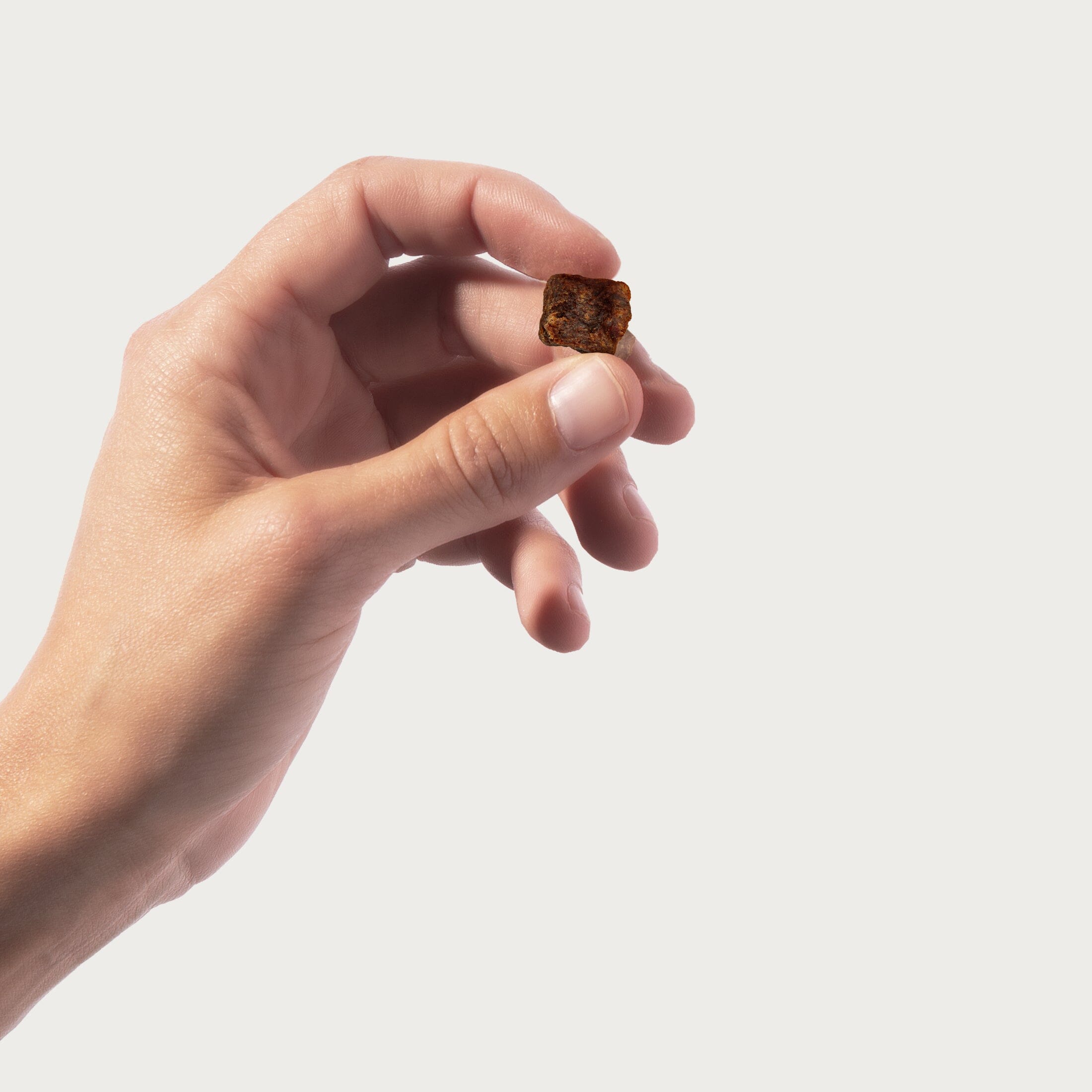 Beef Jerky Bites Jinx