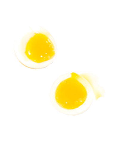 Egg sliced in half