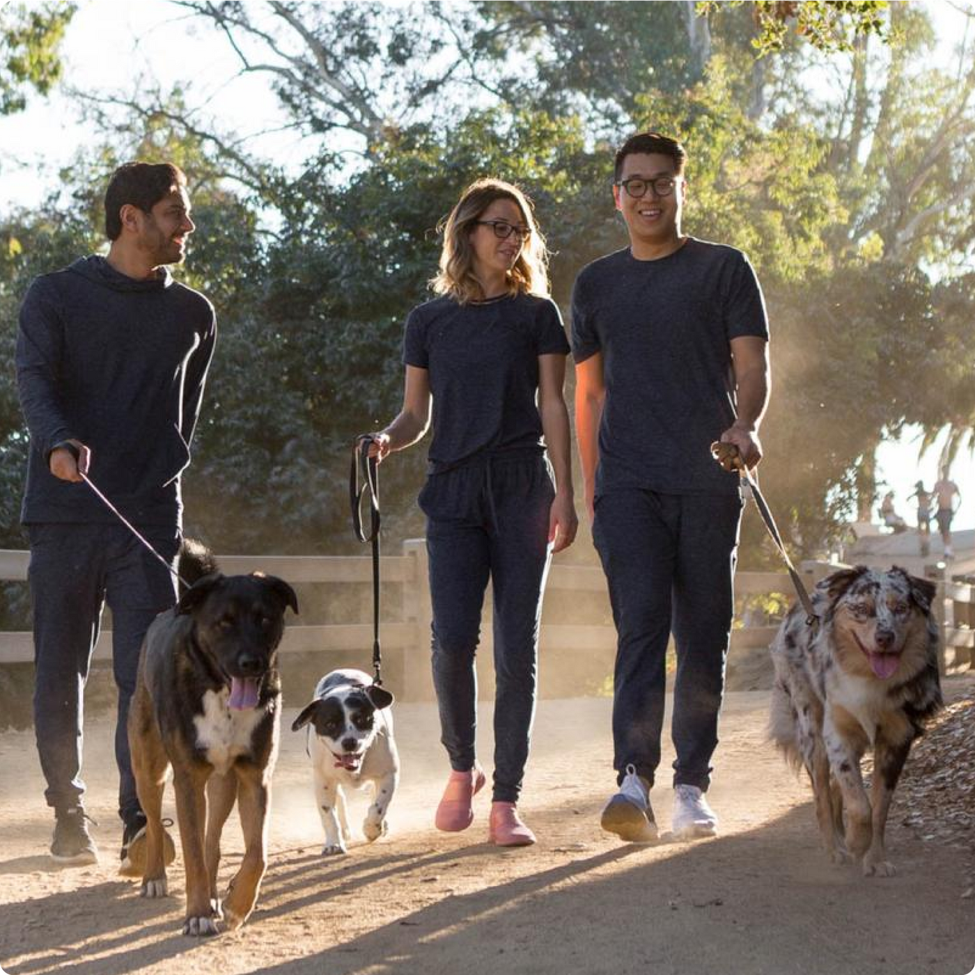 Three members of Jinx team walking their dogs on a leash in a park looking happy