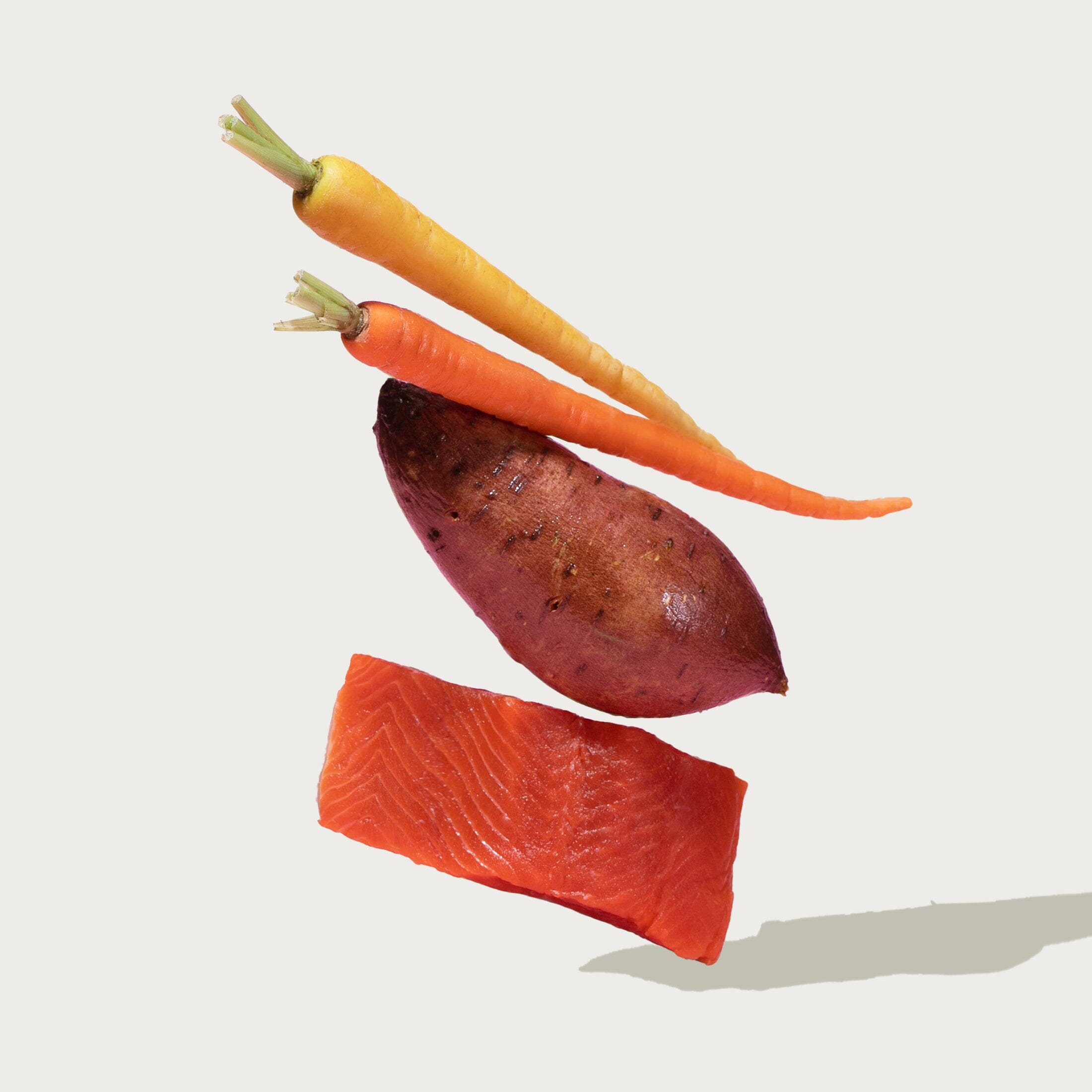 Grain-Free Salmon & Carrot Kibble Dog Kibble Jinx 