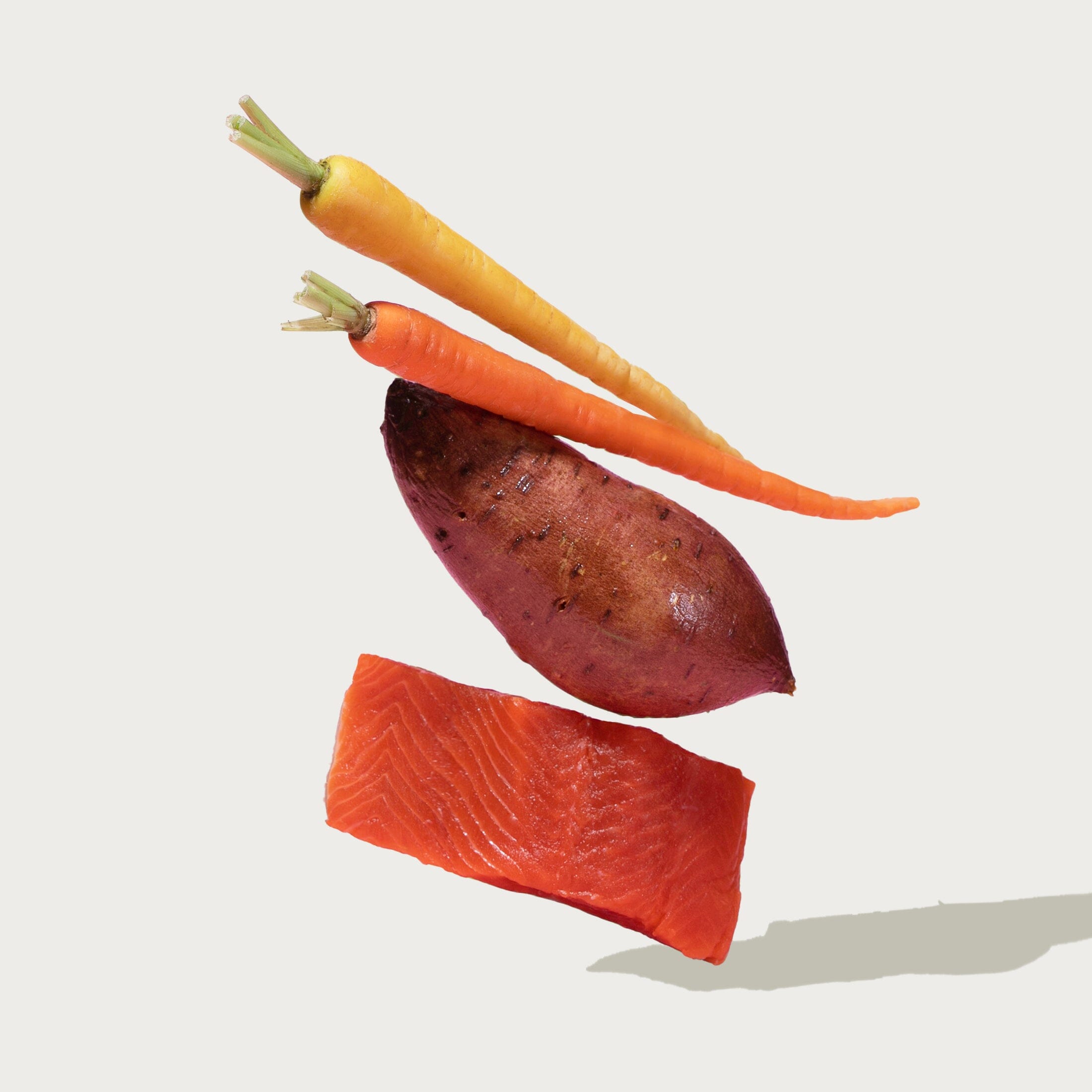 Grain-Free Salmon & Sweet Potato Pate Wet Food Dog Kibble Jinx