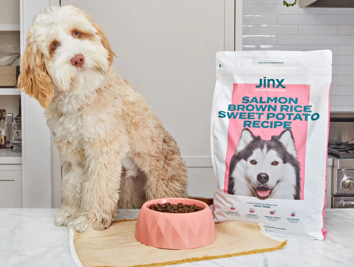 An inquisitive dog in front of a full dog bowl and a bag of jinx dog food next to it