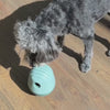 Dog playing with a tumble puzzle toy, knocking treats out of it