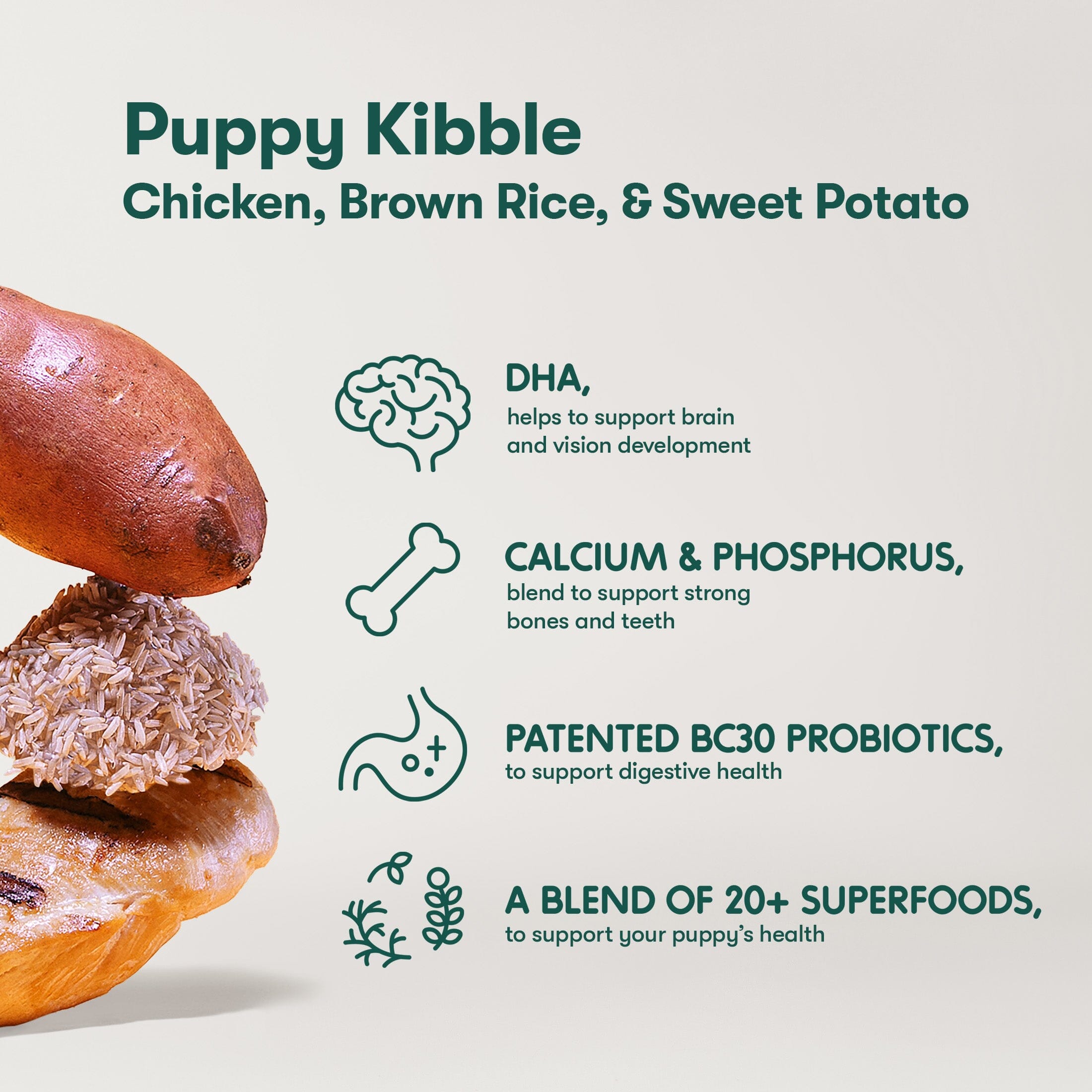 Puppy Kibble. Chicken, Brown Rice, & Sweet Potato. DHA helps support brain and vision development. Calcium & Phosphorus blend to support strong bones and teeth. Patented BC30 probiotics to support digestive health. A blend of 20+ superfoods to support your puppy's health