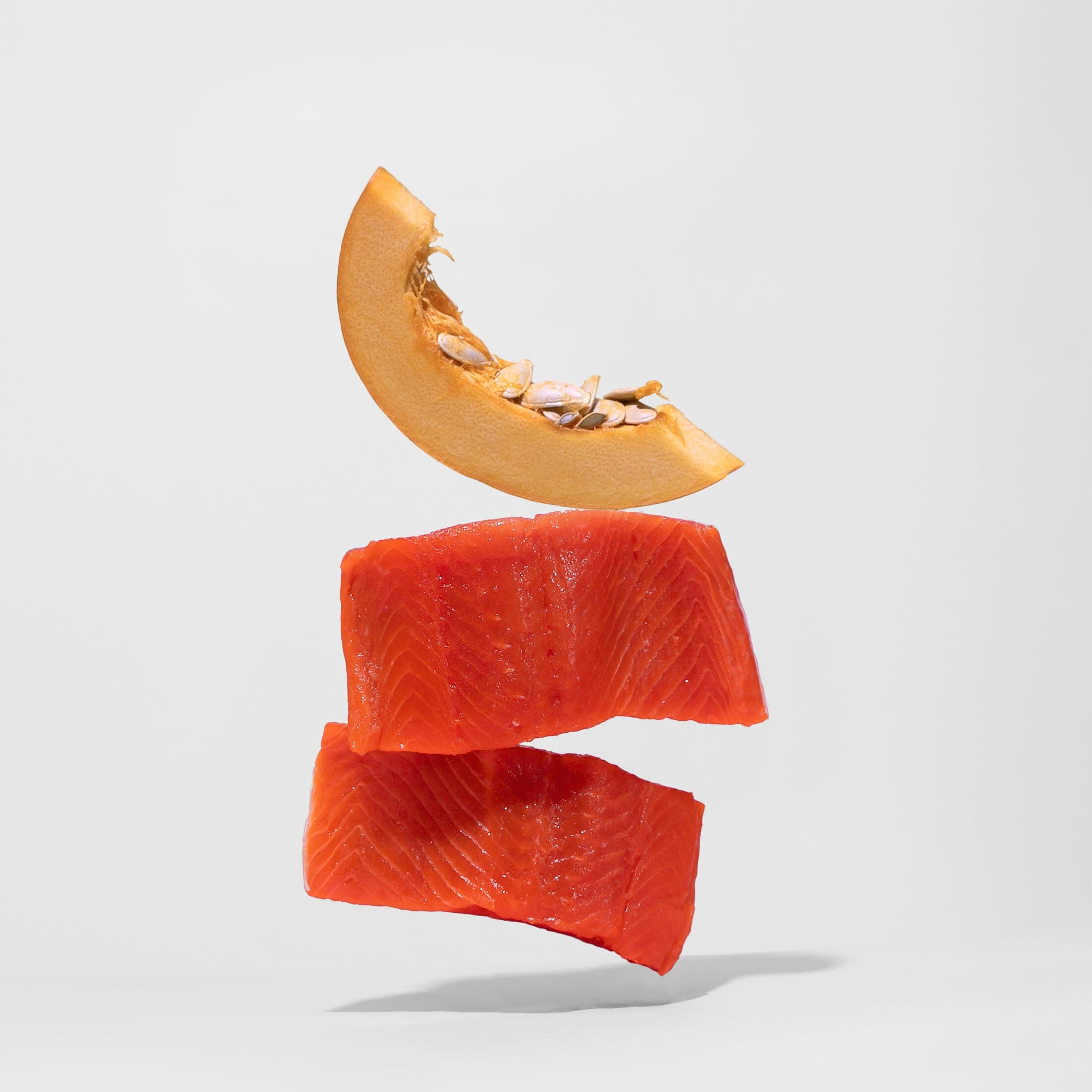 Salmon & Pumpkin Tenders Dog Treats Jinx