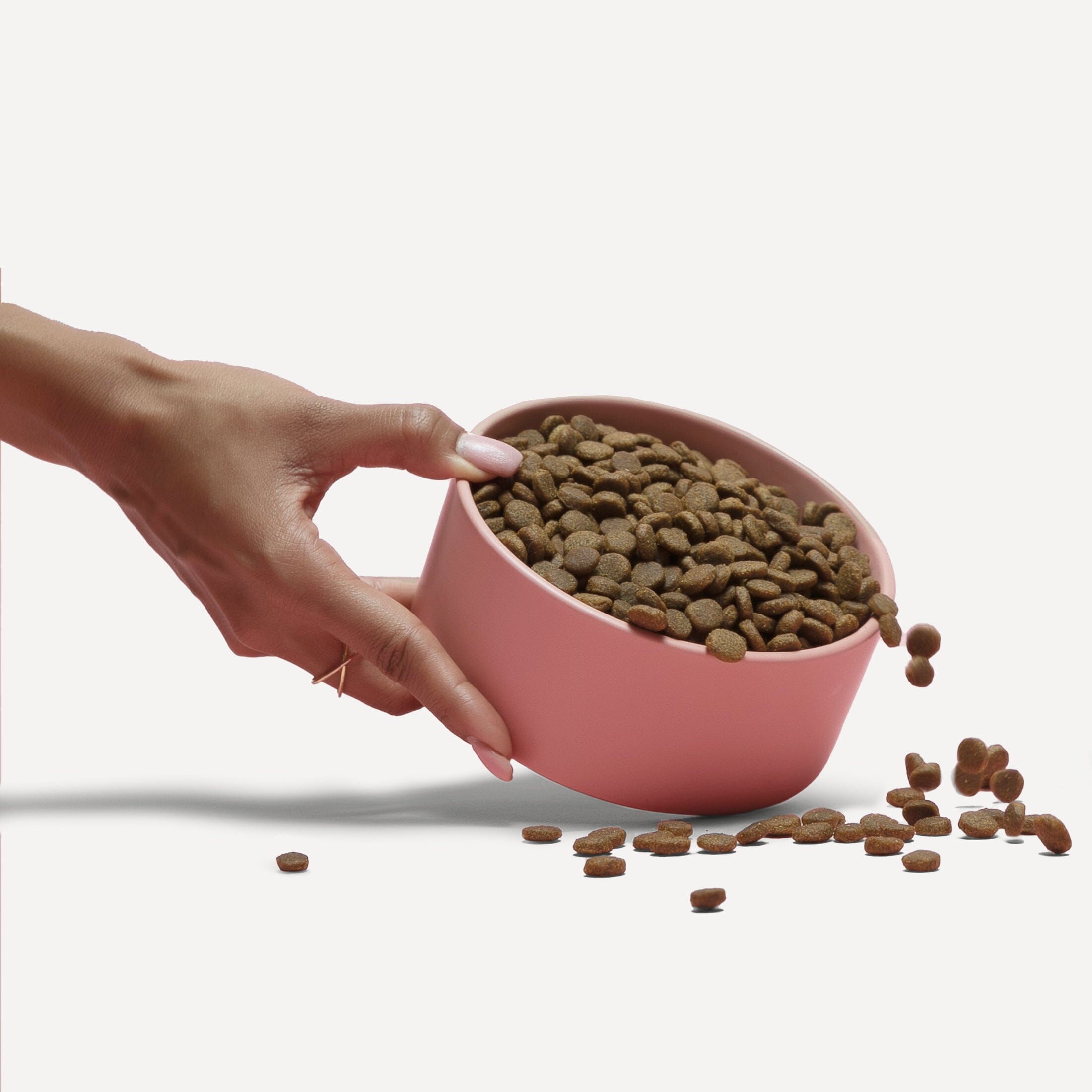 Salmon & Sweet Potato Kibble Dog Kibble Jinx