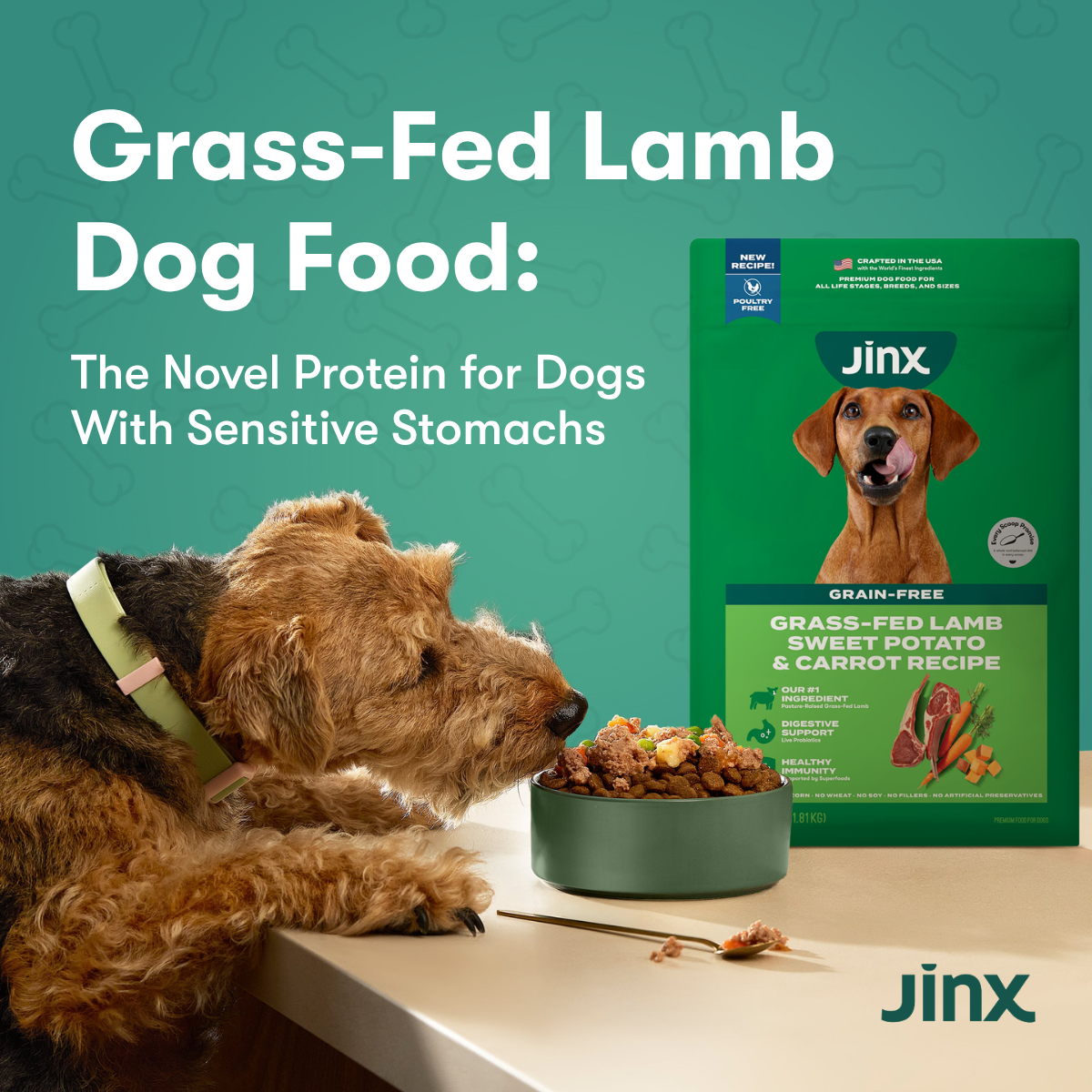 Grass-Fed Lamb Dog Food: The Novel Protein for Dogs With Sensitive Stomachs