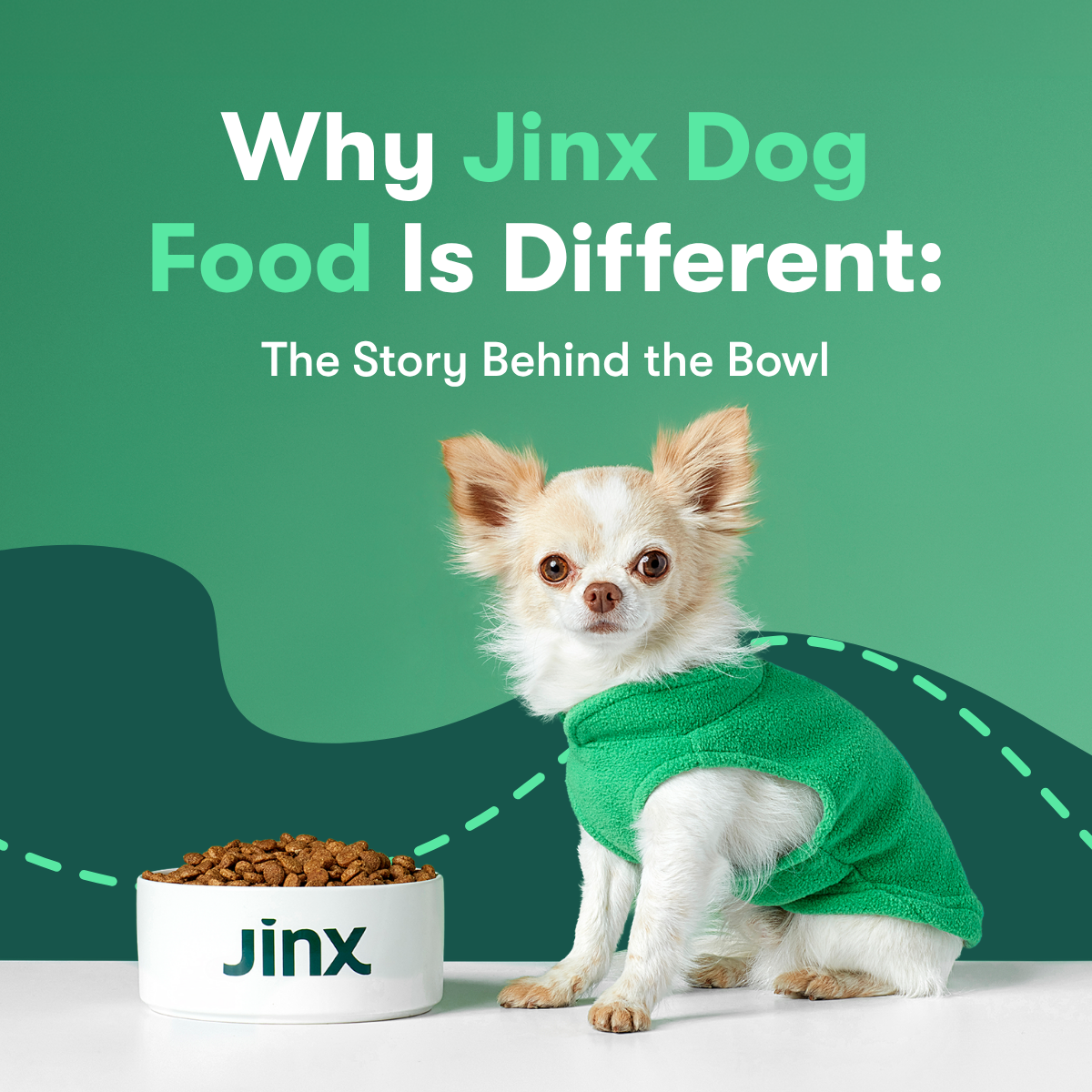 Why Jinx Dog Food Is Different: The Story Behind the Bowl