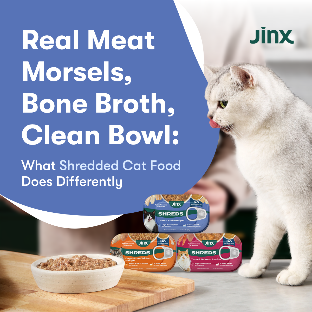 Real Meat Morsels, Bone Broth, Clean Bowl: What Shredded Cat Food Does Differently