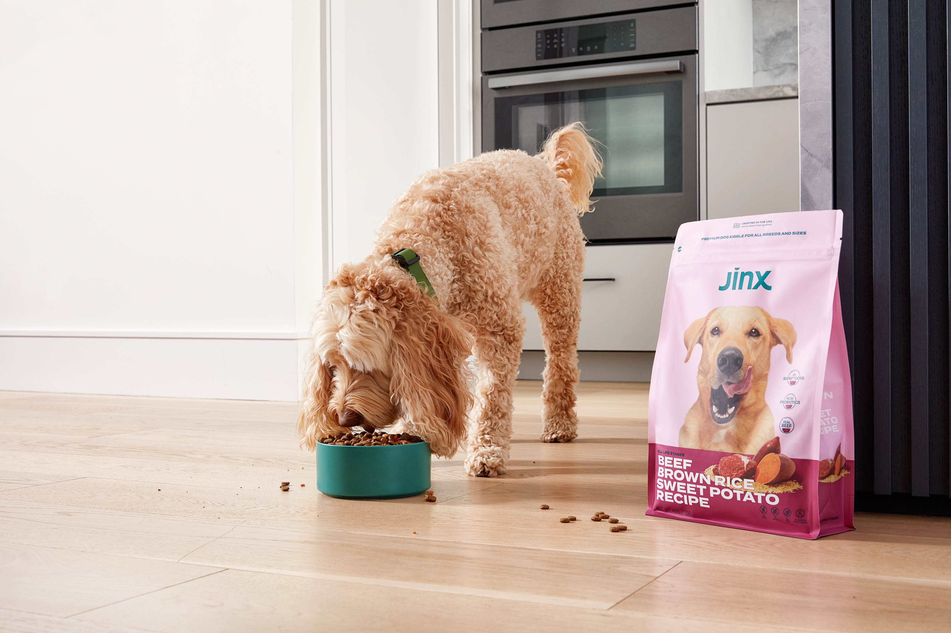 Are Probiotics Good For Dogs?