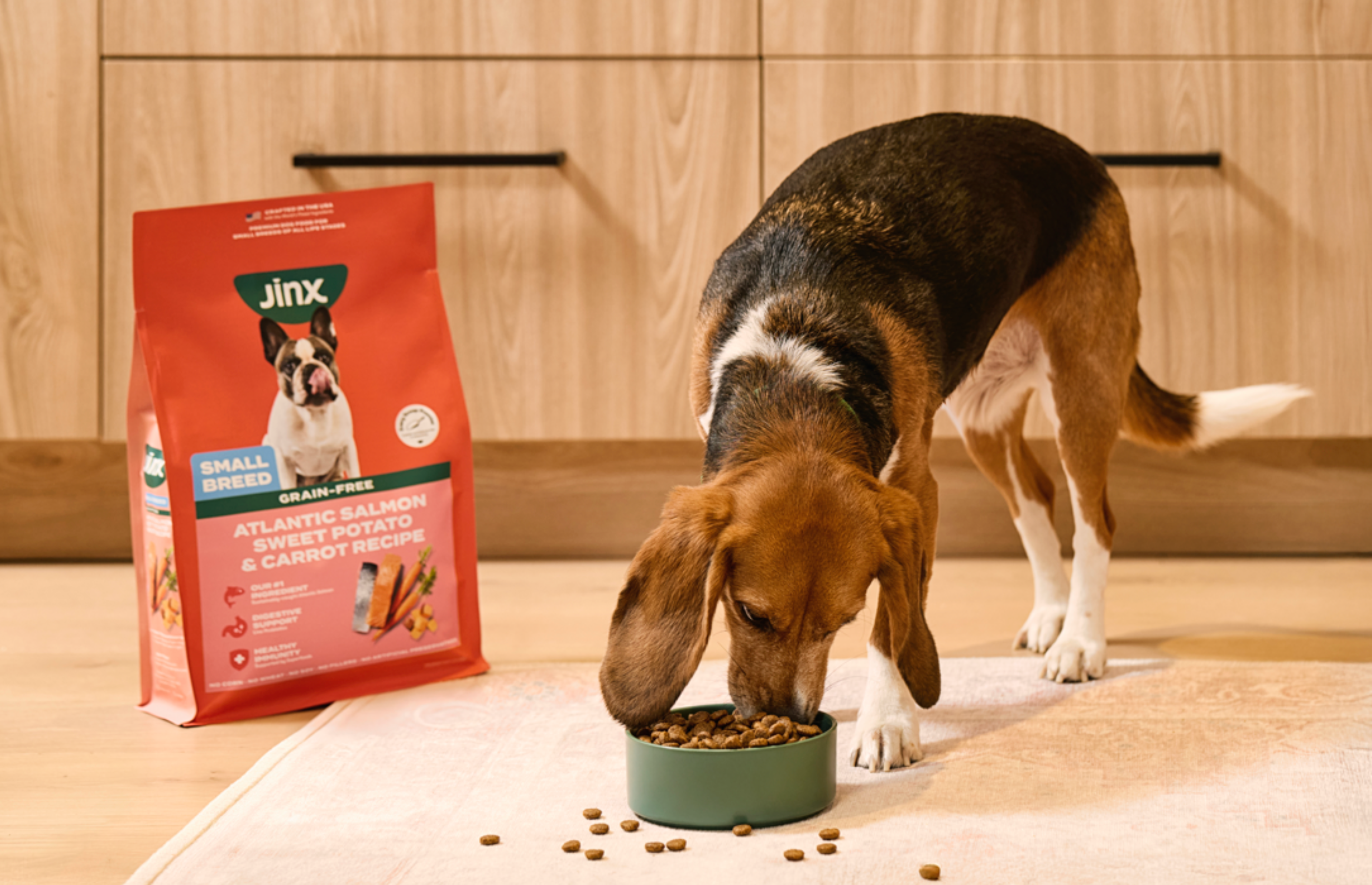 Caring for Your Small Breed Dog’s Nutritional Needs