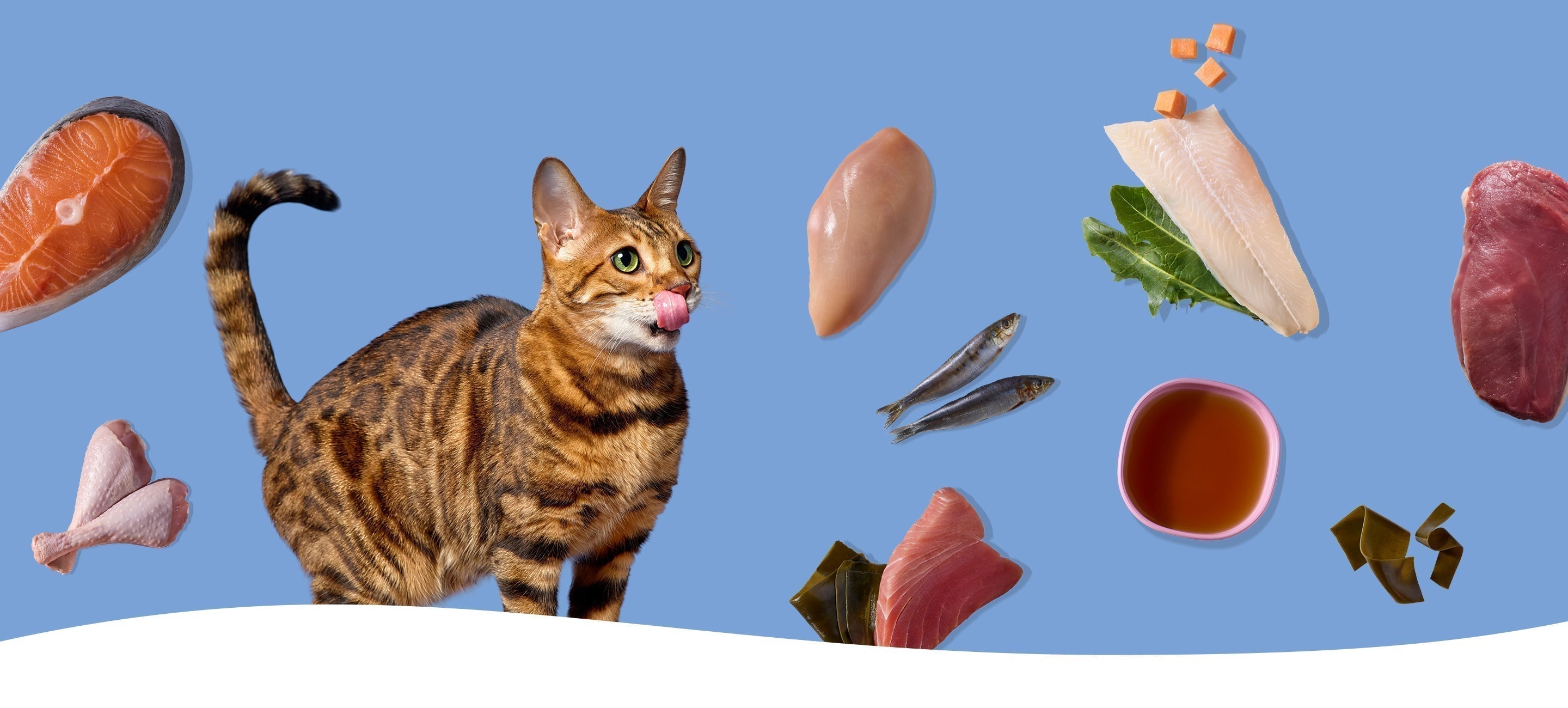 Meet the Jinx Cat Food Line: Flavors and Formulas for Every Feline