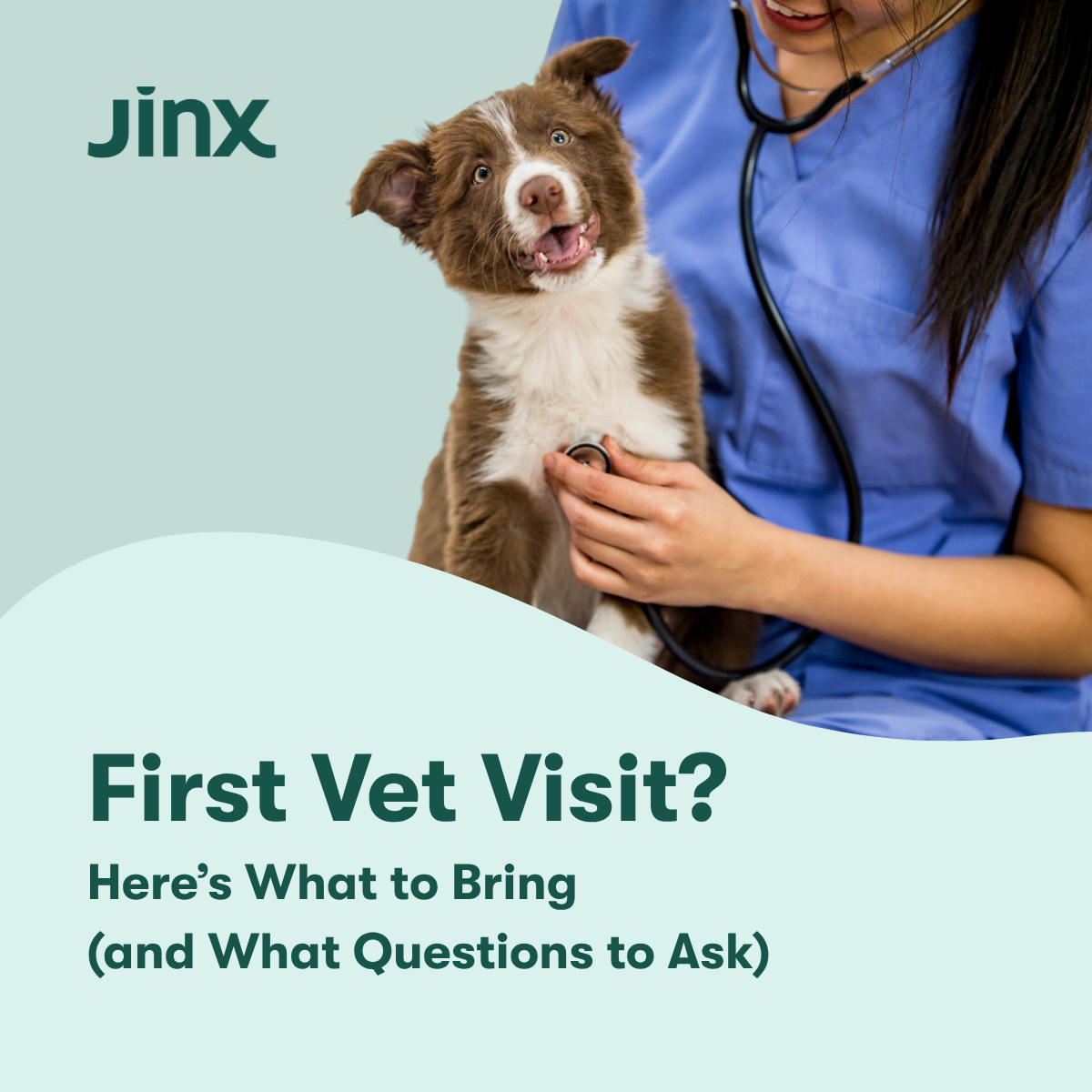 First Vet Visit? Here’s What to Bring (and What Questions to Ask)