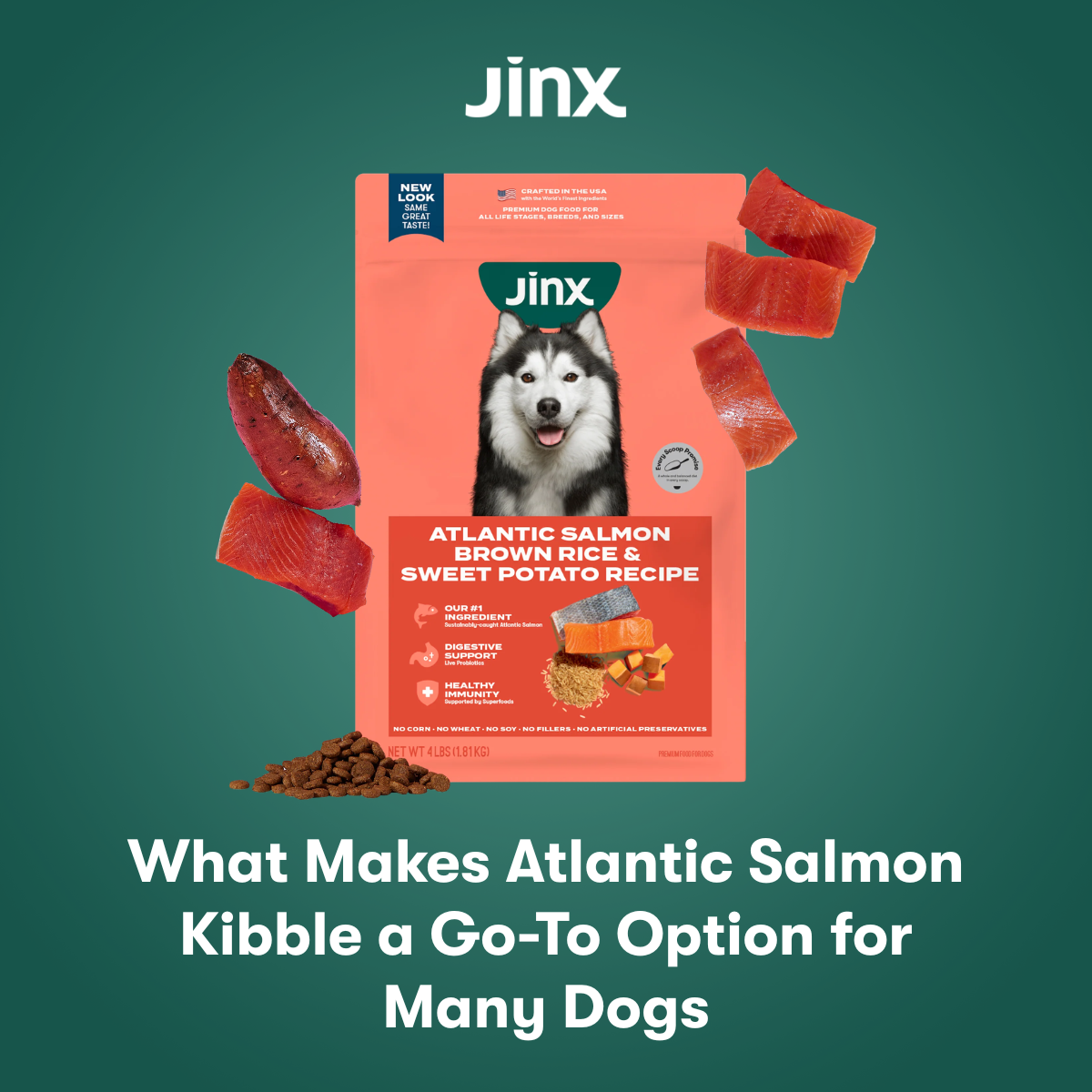 What Makes Atlantic Salmon Kibble a Go-To Option for Many Dogs