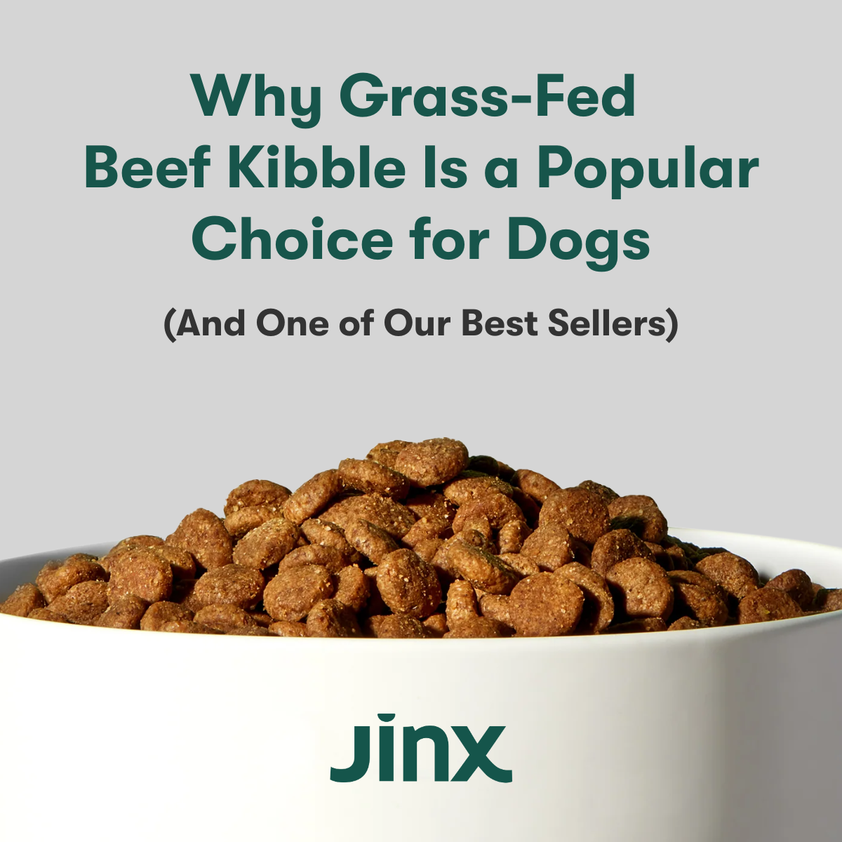 Why Grass-Fed Beef Kibble Is a Popular Choice for Dogs (And One of Our Best Sellers)