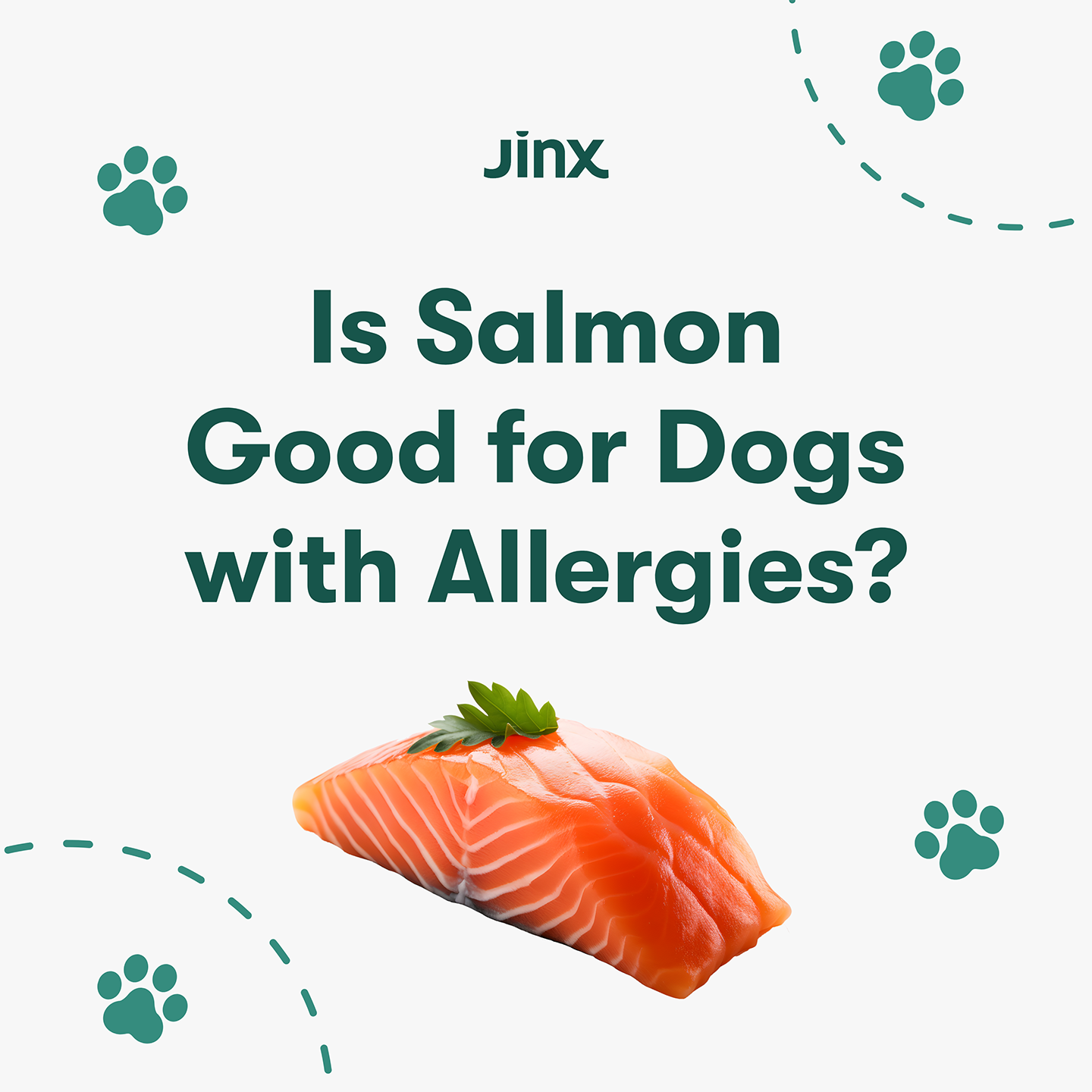 Is Salmon Good for Dogs with Allergies?