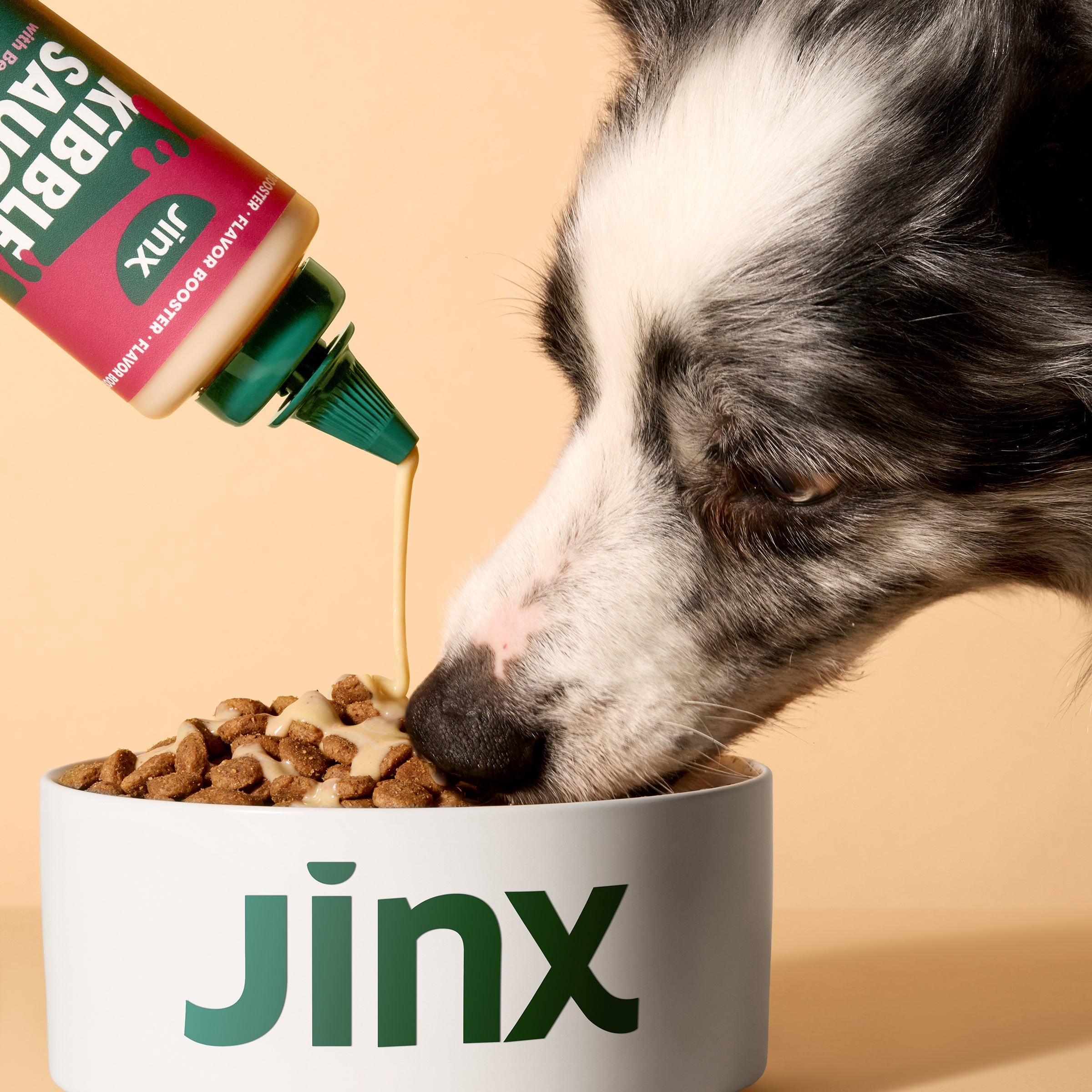 Dog Hair Loss from Allergies: Causes & Solutions