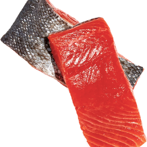 Is Salmon or Chicken Better for Dogs?