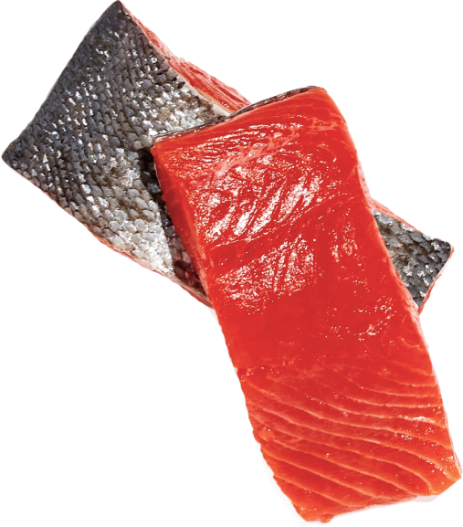 Is Salmon or Chicken Better for Dogs?