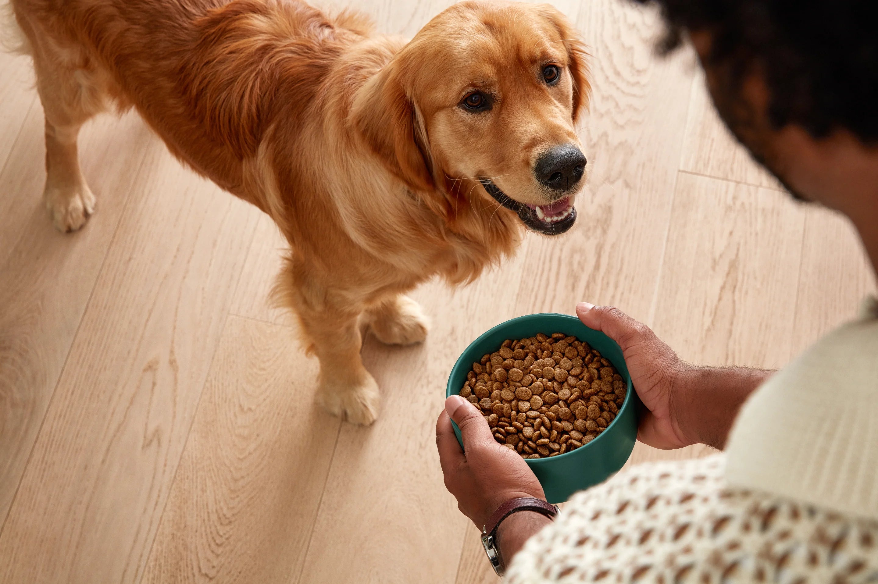Ask a Vet: Is My Dog a Healthy Weight?