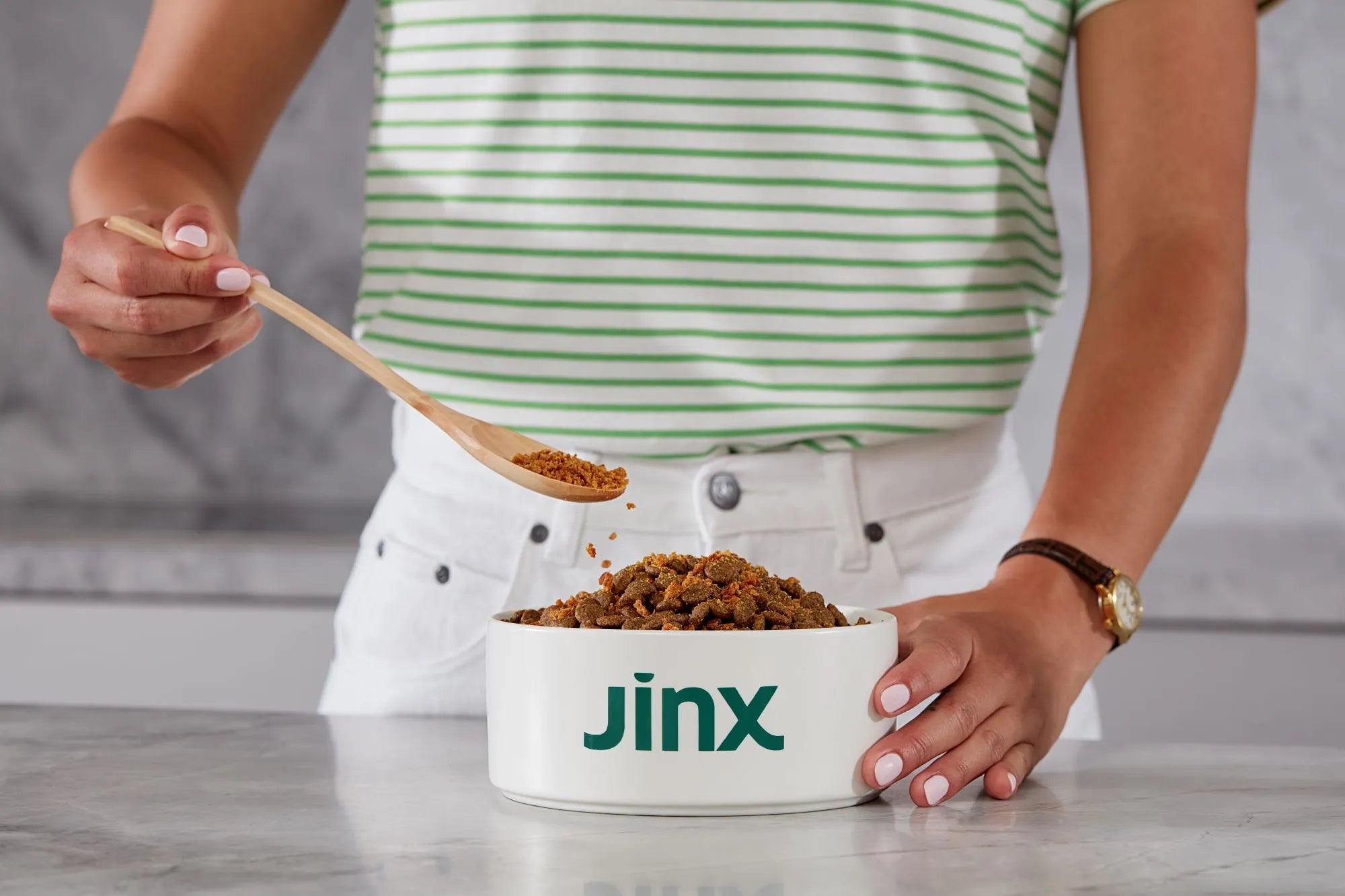 food to feed dog with upset stomach