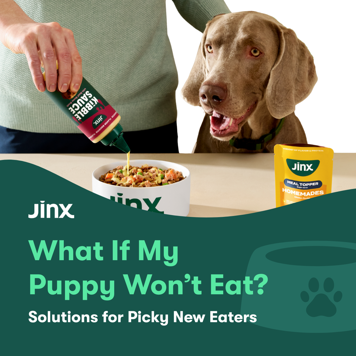 What If My Puppy Won’t Eat? Solutions for Picky New Eaters