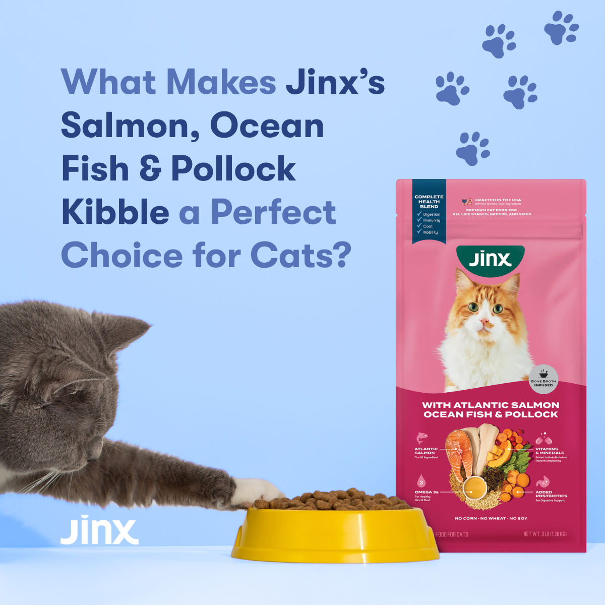 What Makes Jinx's Salmon, Ocean Fish & Pollock Kibble a Perfect Choice for Cats?