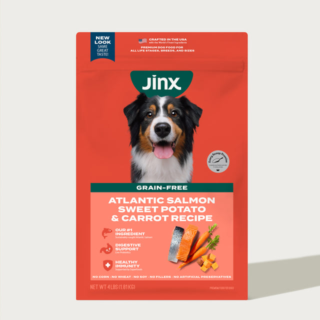 Shop Salmon Kibble For Dogs: Premium Dry Dog Food – Jinx
