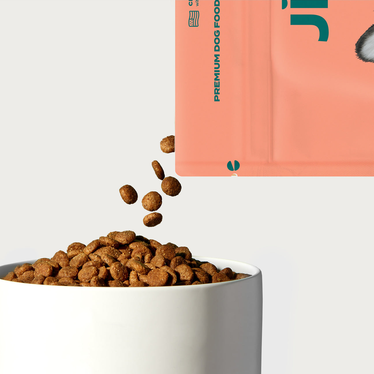 Shop Salmon Dog Kibble Sampler: Premium Dry Dog Food – Jinx