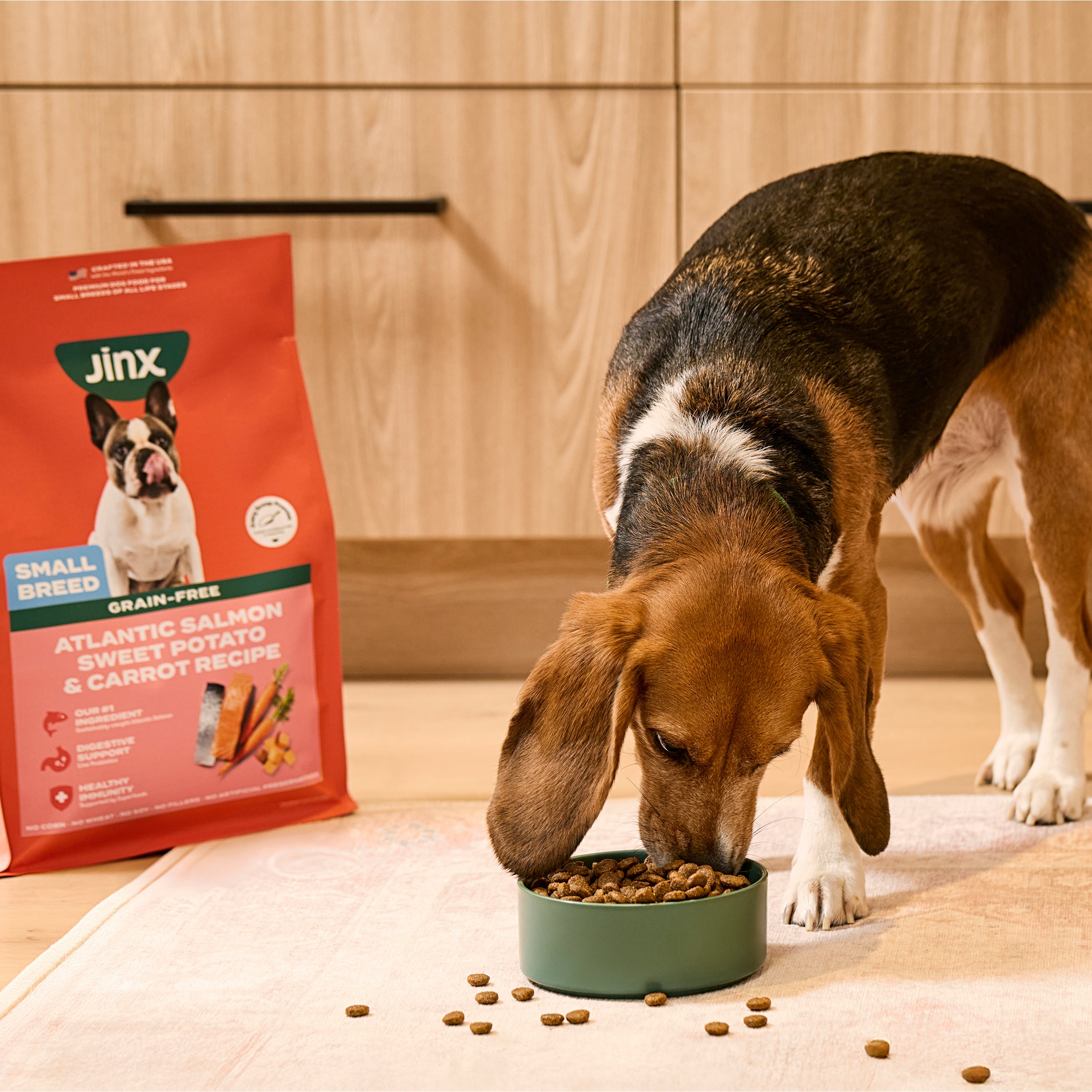 Grain-Free Atlantic Salmon Dog Food | Kibble for Small Dogs – Jinx