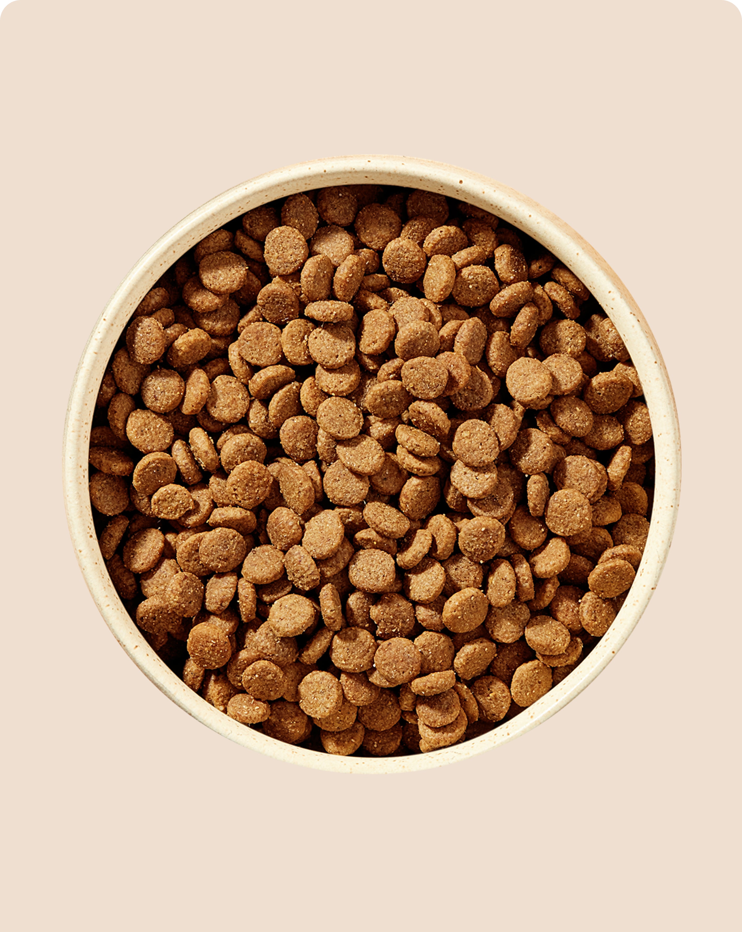 Jinx | Dog & Cat Food | Kibble, Wet Food, Treats & More