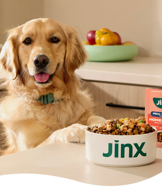 Jinx Real dog food made to feed real life.