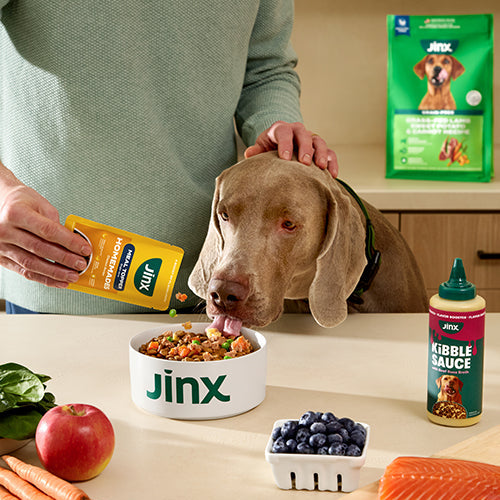 Jinx Dog Food: Grass-Fed Lamb for Everyday Nutrition