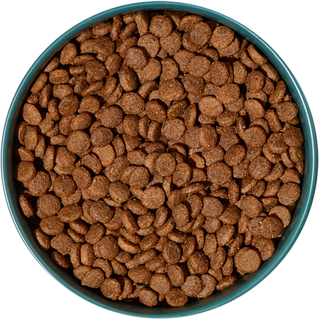 Overhead view of bowl of kibble