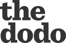 the dodo publication logo
