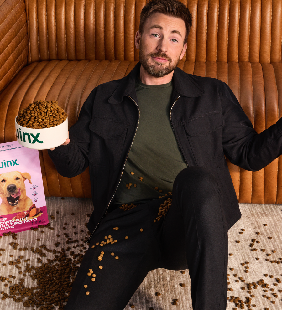 What to Feed Dogs With Itchy Skin Jinx