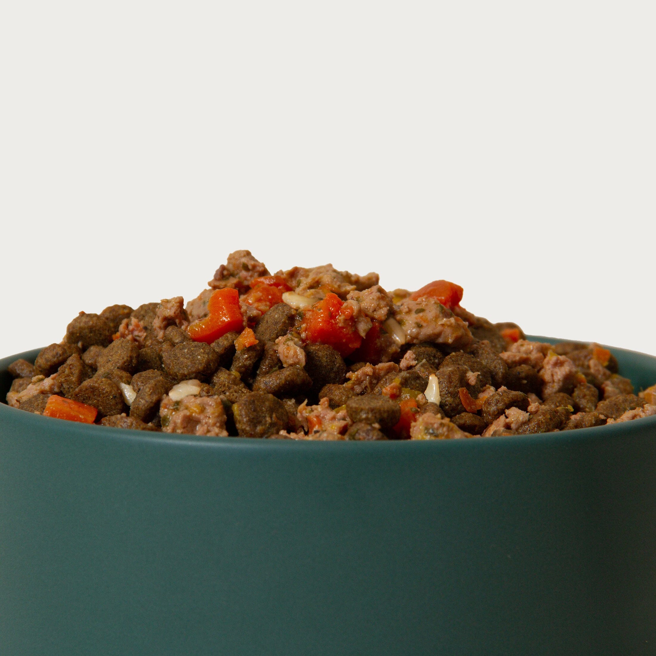 Delicious Recipes | Homemade Dogfood Ideas | Ministry Ideas