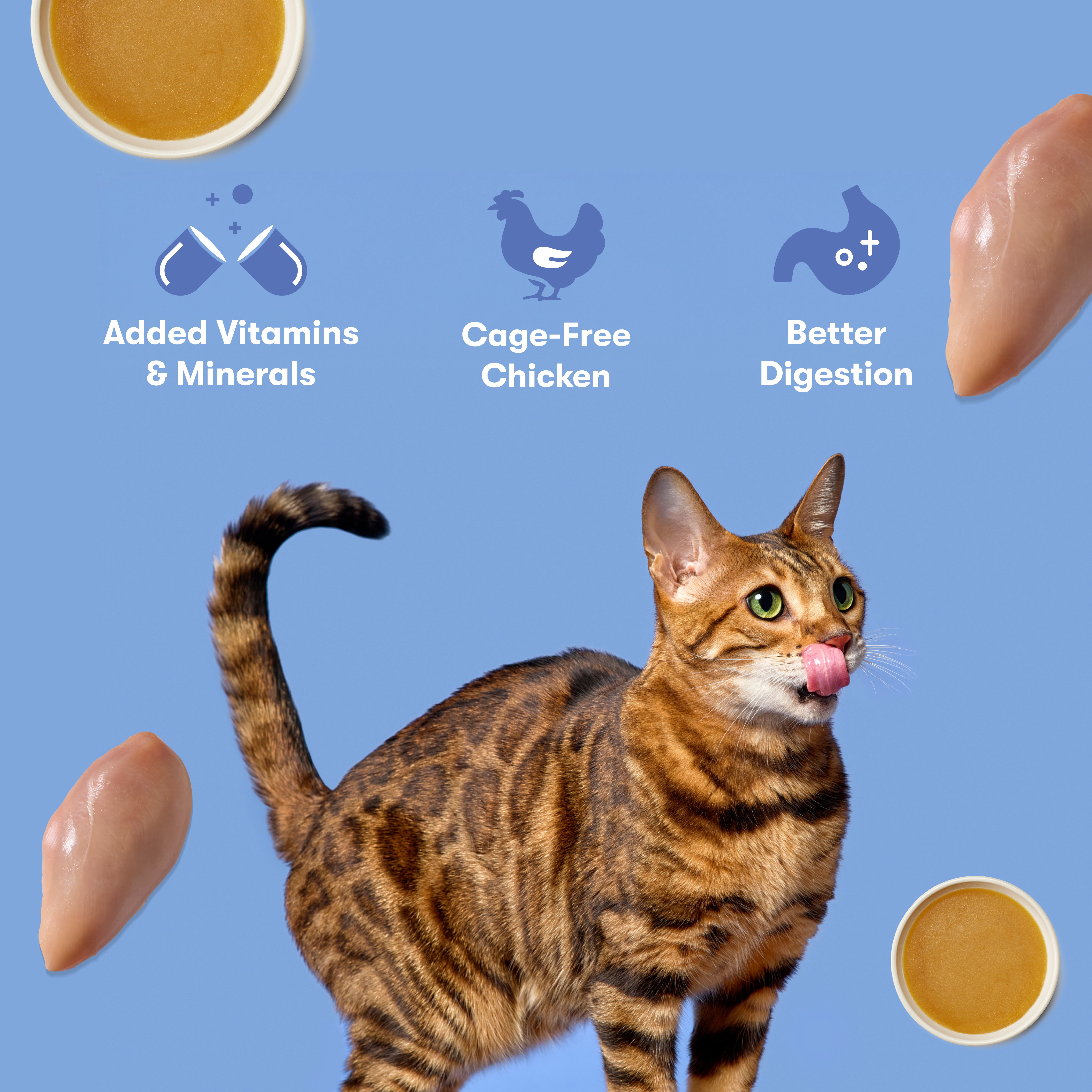 Cage-Free Chicken Paté for Cats – Jinx