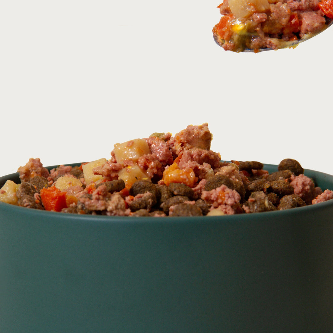 Shop Homemades Beef and Chicken Dog Food – Jinx - Homemade Grain Free Dog Food With Chicken And Beef