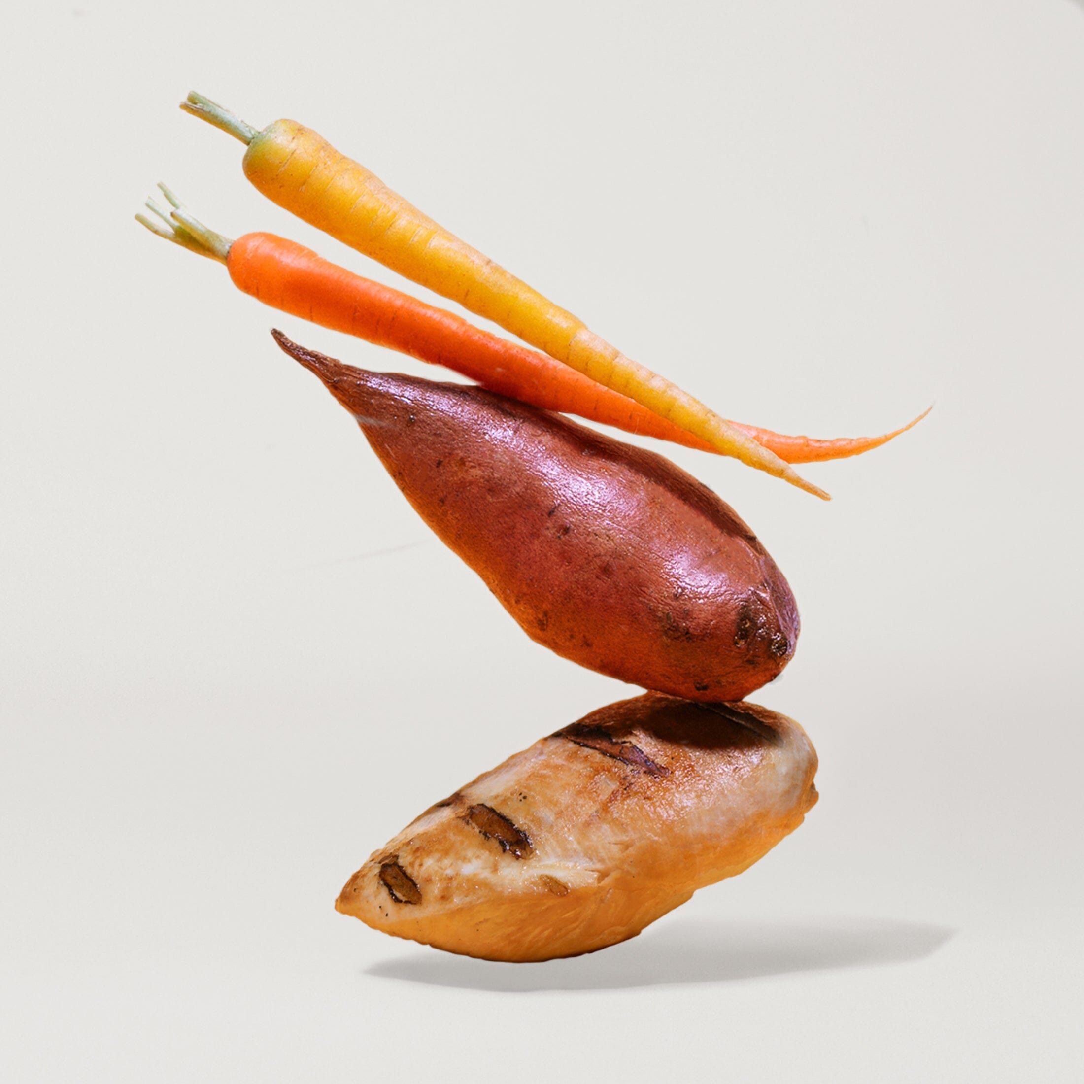 Grain-Free Organic Chicken & Carrot Kibble Dog Kibble Jinx 