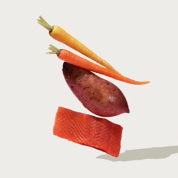 Shop Grain-Free Salmon and Sweet Potato Dog Food – Jinx