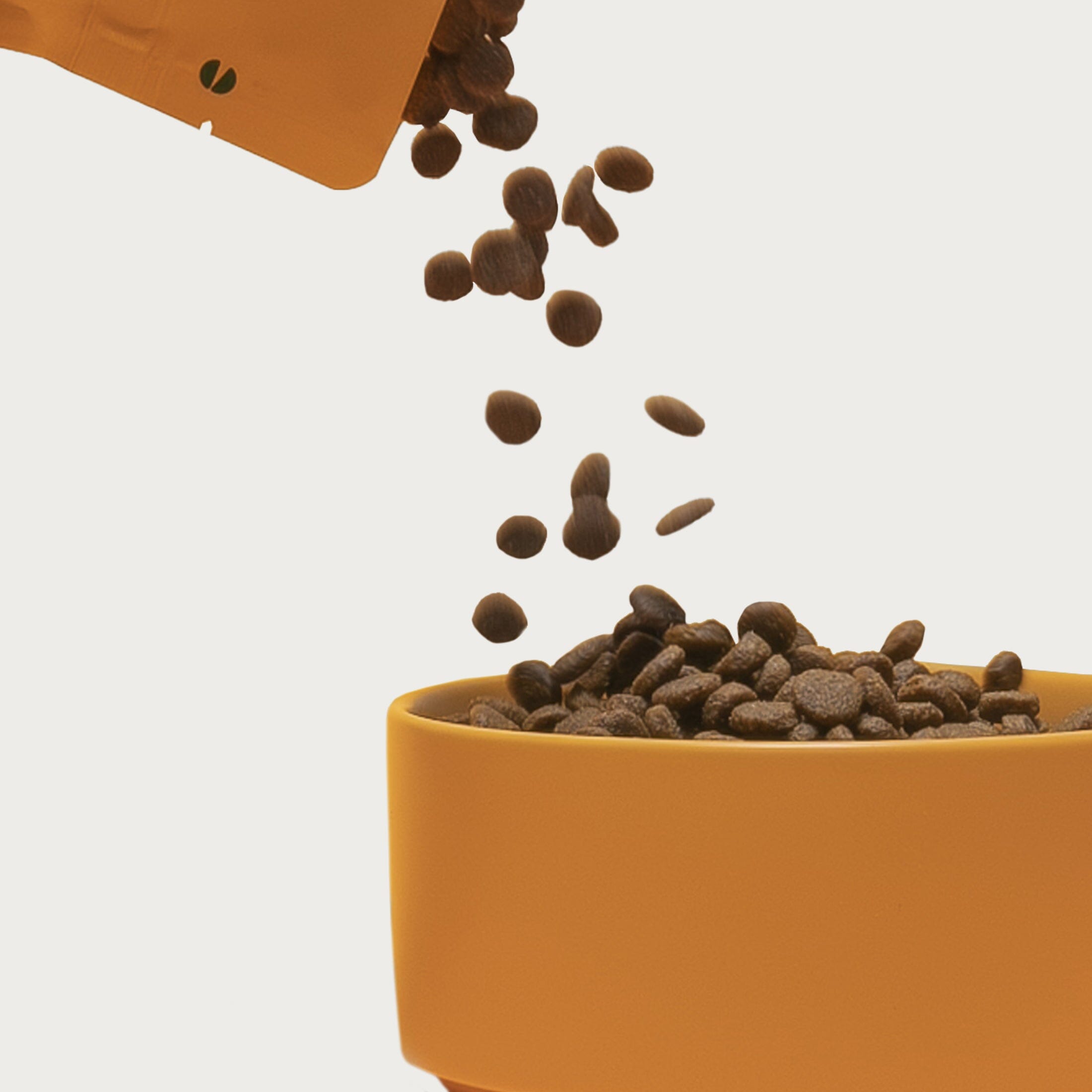 Grain-Friendly Kibble Sampler Jinx 
