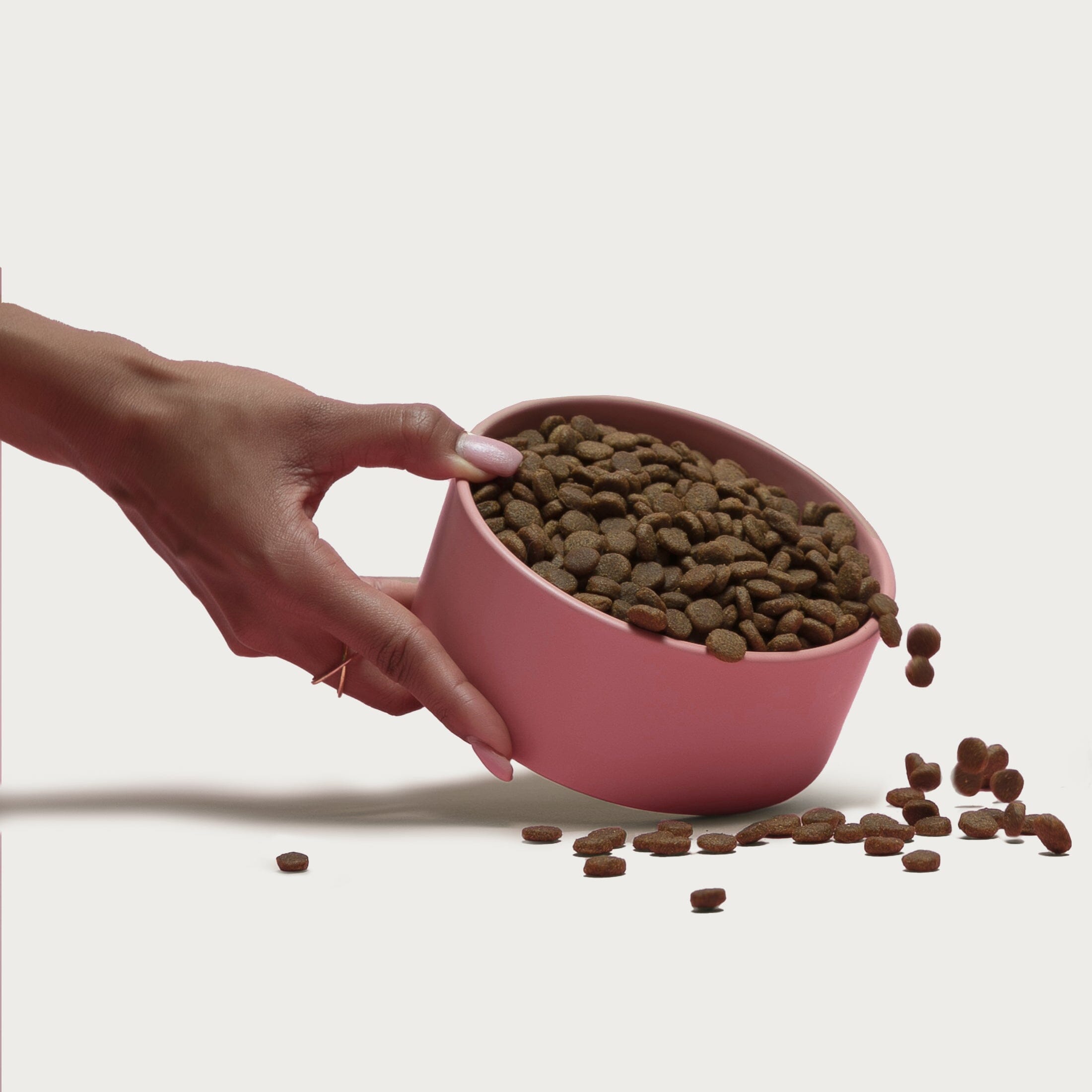 Grain-Friendly Kibble Sampler Jinx 