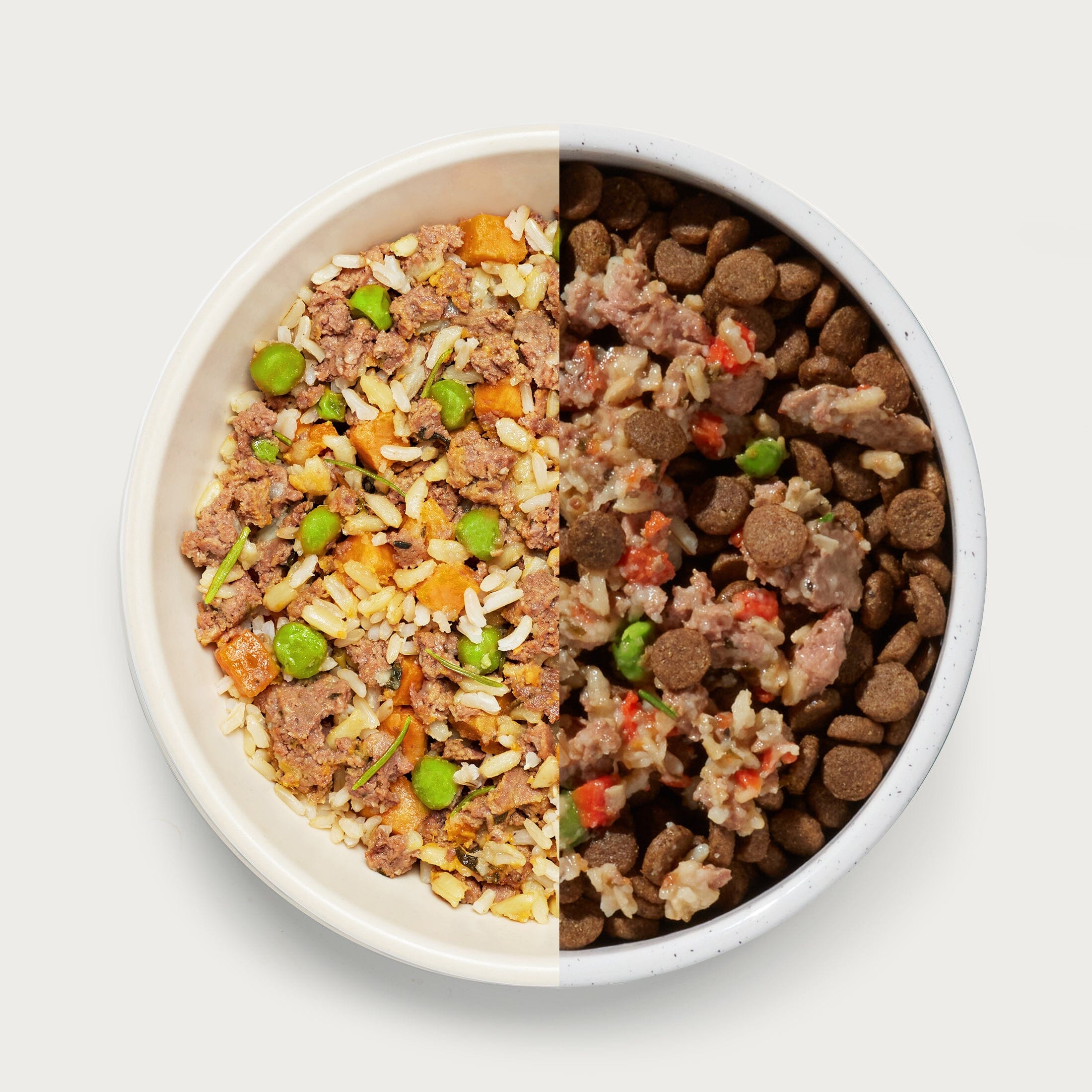 Shop Our Homemade Dog Food Sampler Pack – Jinx - Main Image