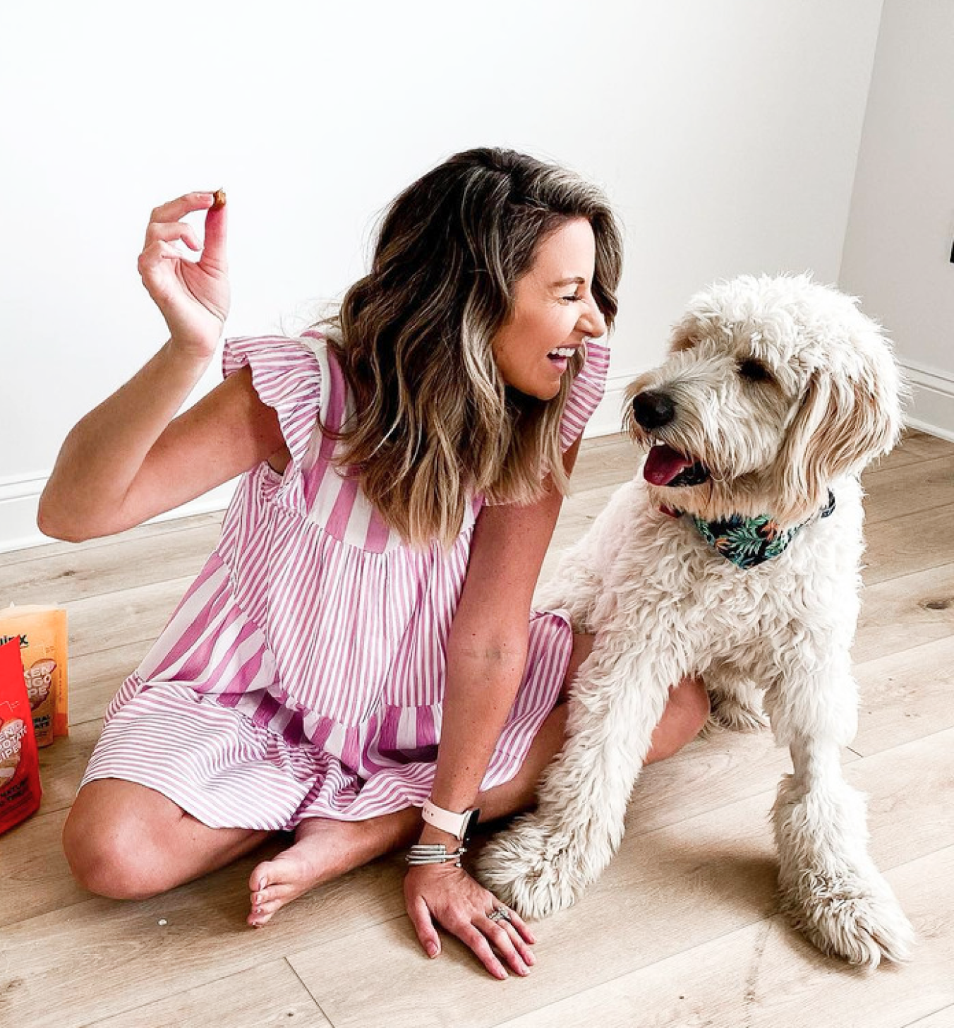 Woman playfully holding a treat away from a big dog next to her on the floor