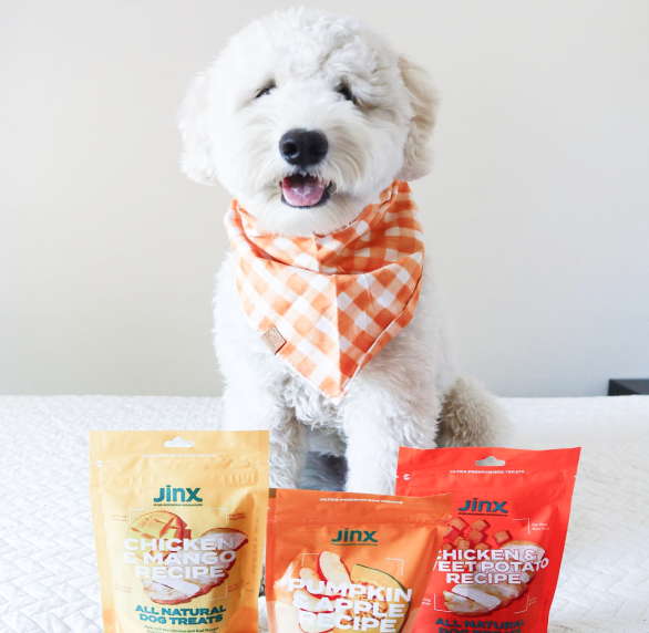 Small white dog smiling with three Jinx dog kibble products in front of him