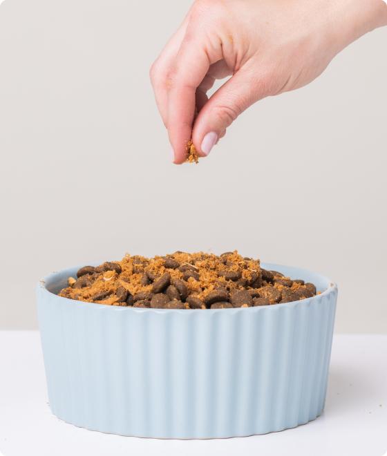 Freeze dried online salmon dog food