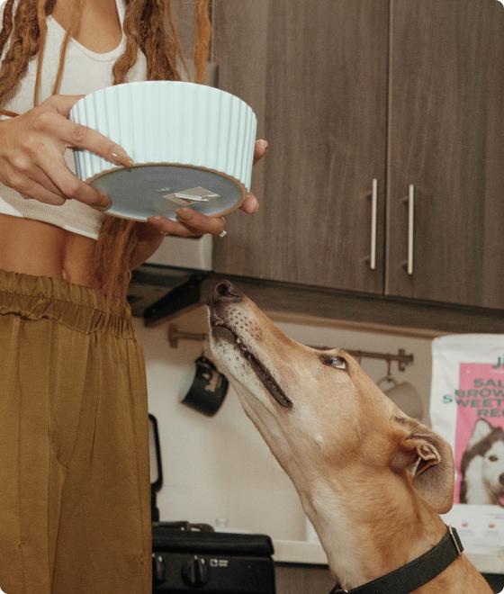 Woman holding a blue dog bowl in a kitchen while a big dogs waits  with curiosity.